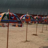 20070215_Photo_1366_DSC_7802_CMP_WM