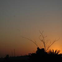 20070215_Photo_1464_DSC_7455_CMP_WM