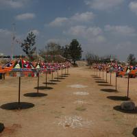 20070215_Photo_1841_DSC_7896_CMP_WM