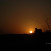 20070215_Photo_1876_DSC_7466_CMP_WM