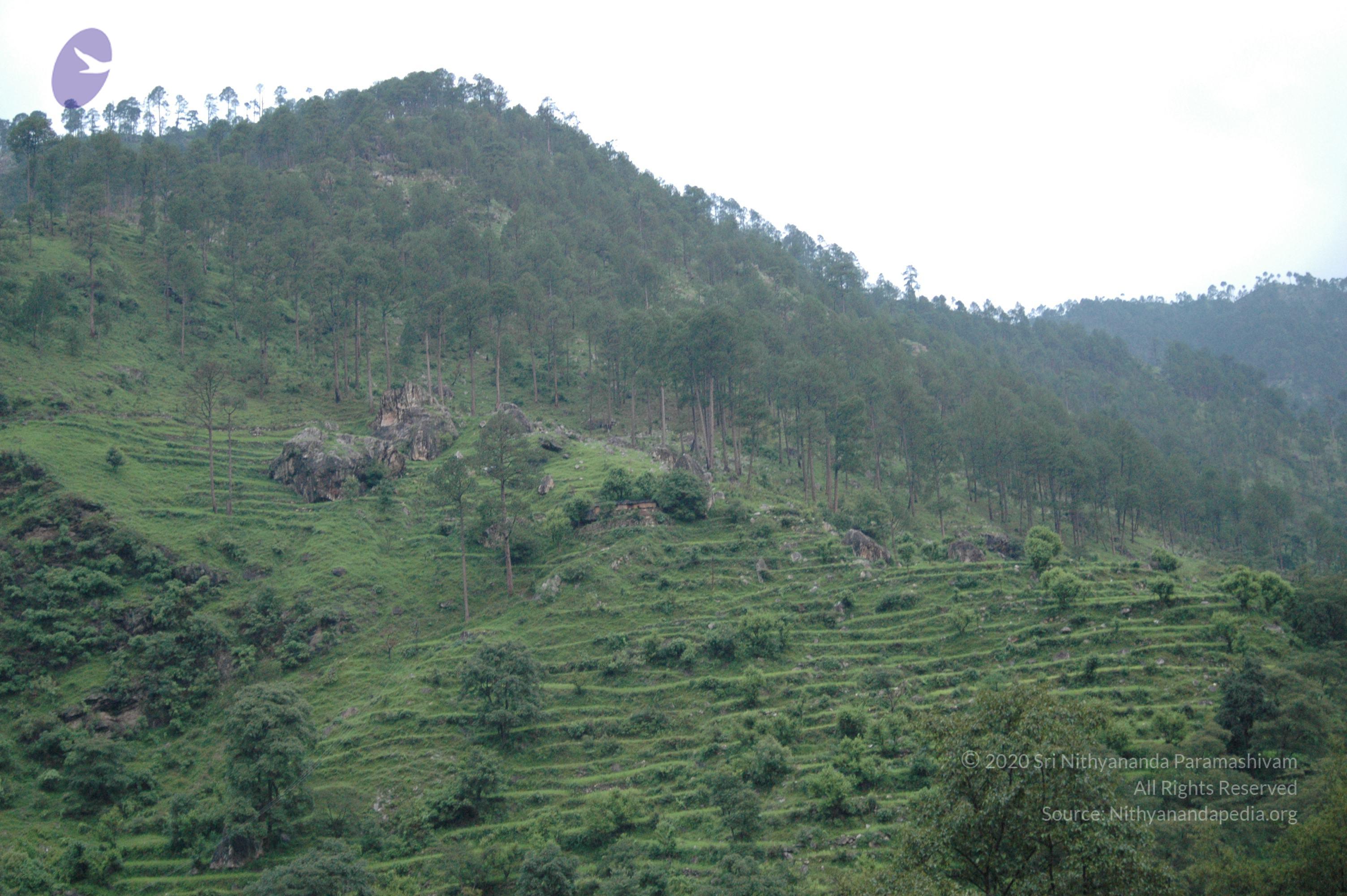 Himalaya2007Jul11 212_CMP_WM