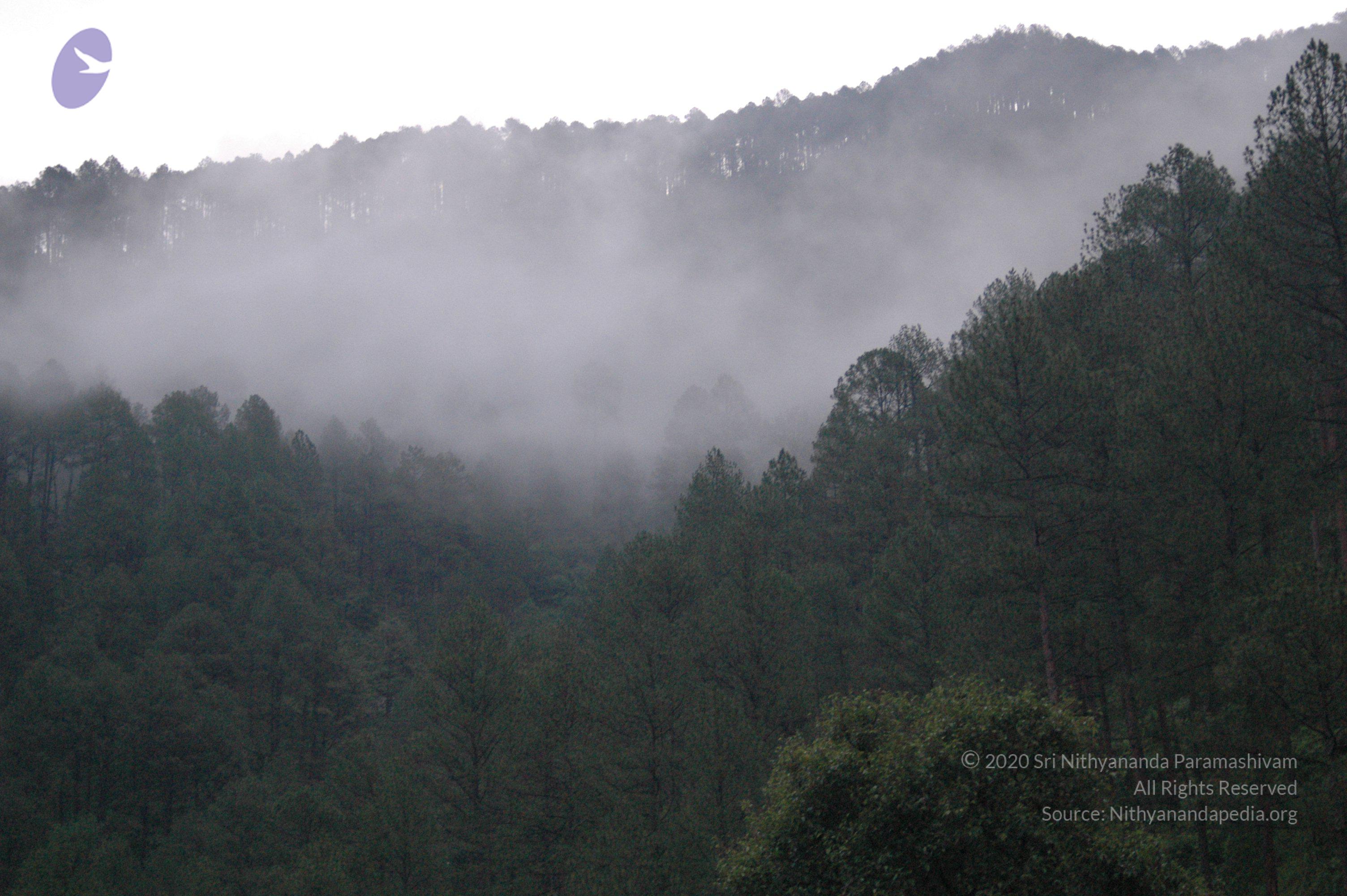 Himalaya2007Jul11 219_CMP_WM