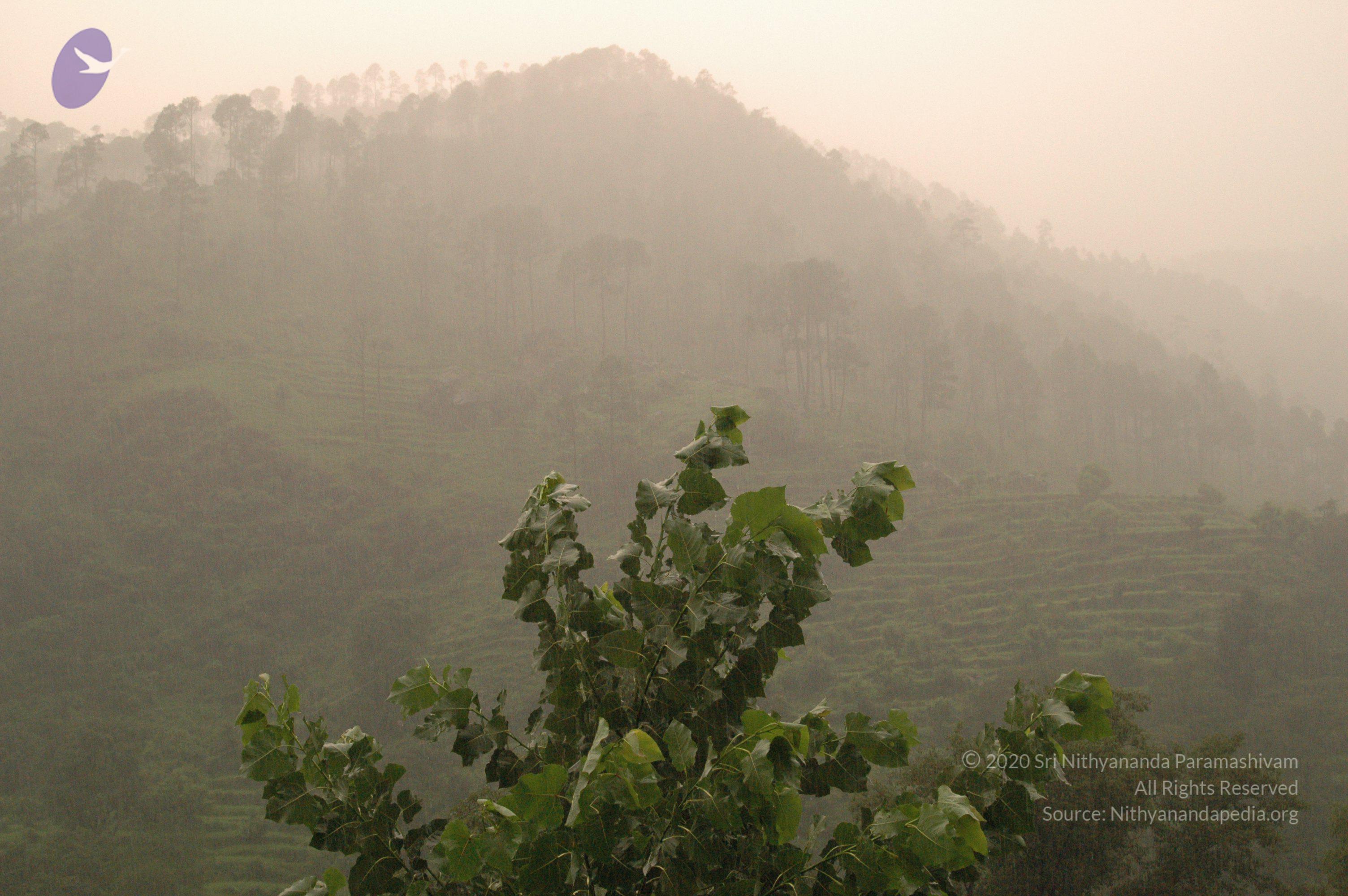 Himalaya2007Jul13 0006_CMP_WM