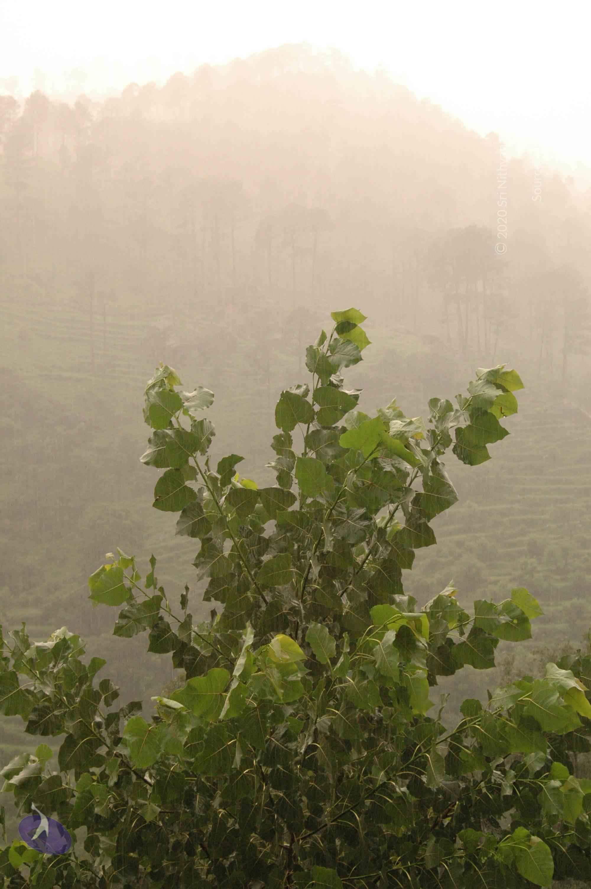 Himalaya2007Jul13 0008_CMP_WM