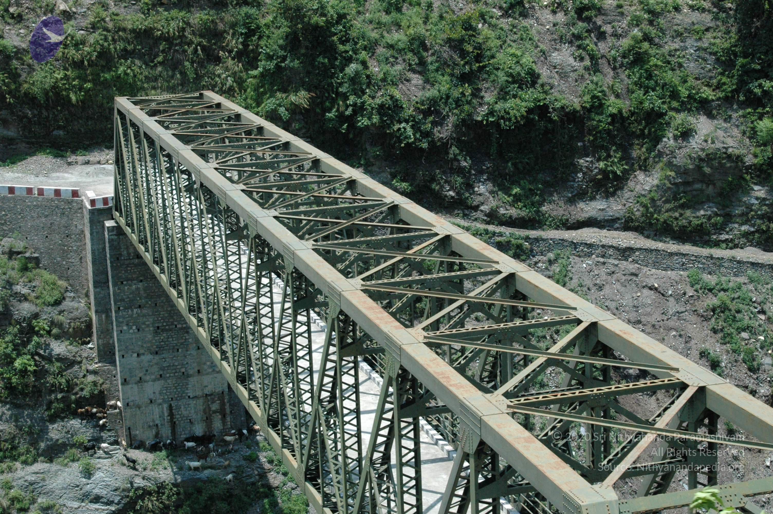 Nature-2007Jul11 001_CMP_WM