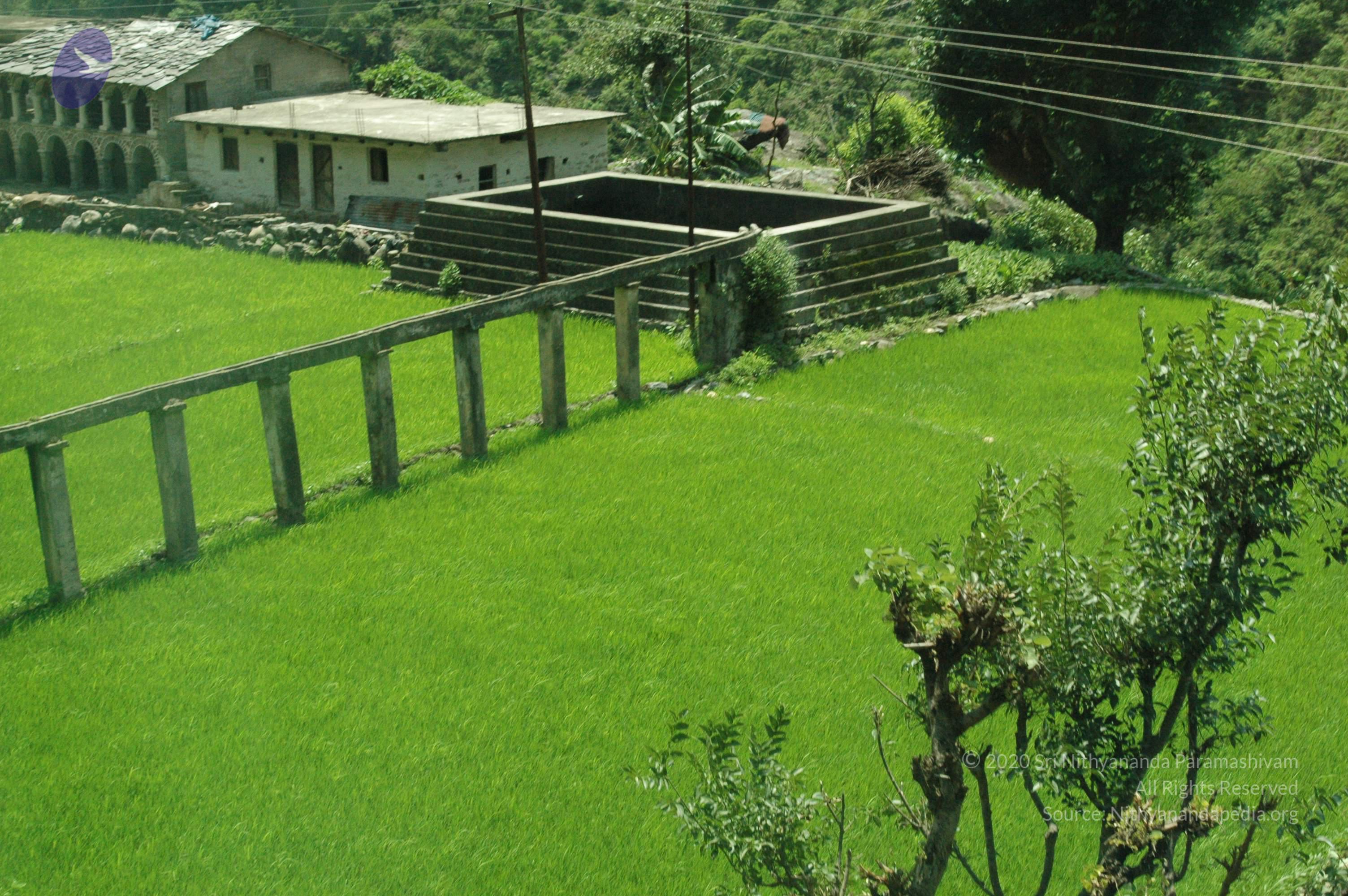 Nature-2007Jul11 076_CMP_WM