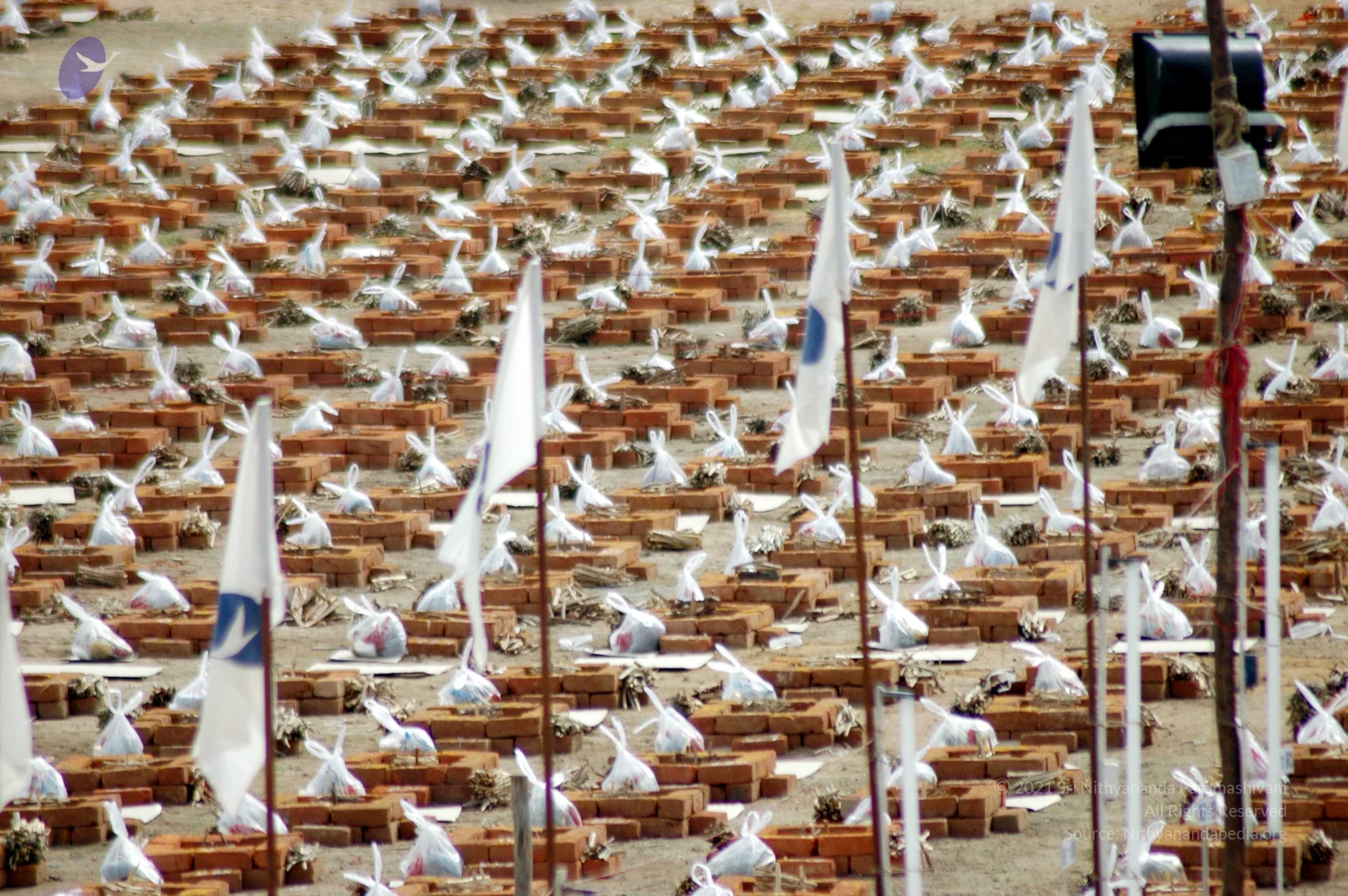 20070722_Picture 13201