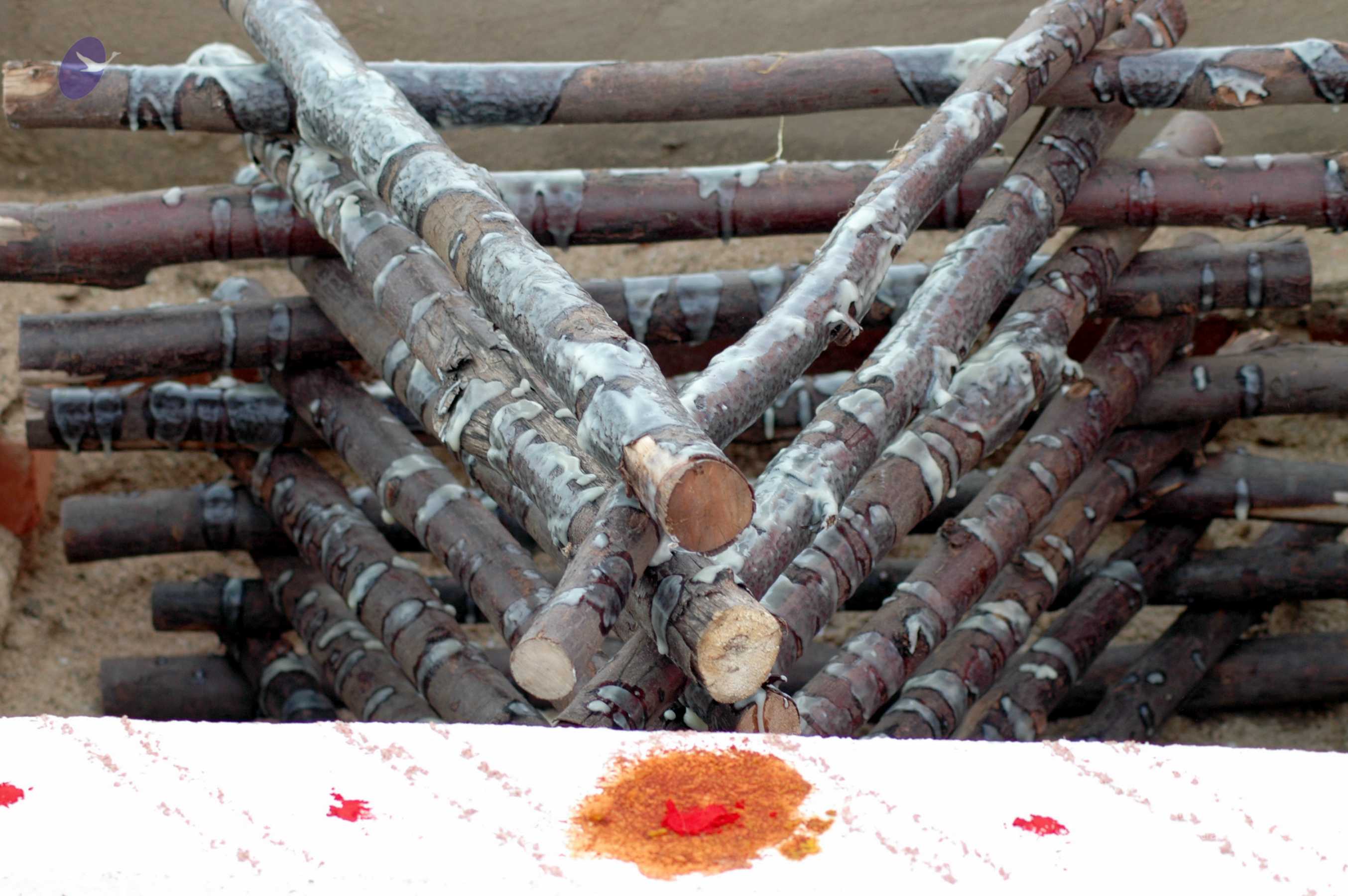 20070722_Picture 14701