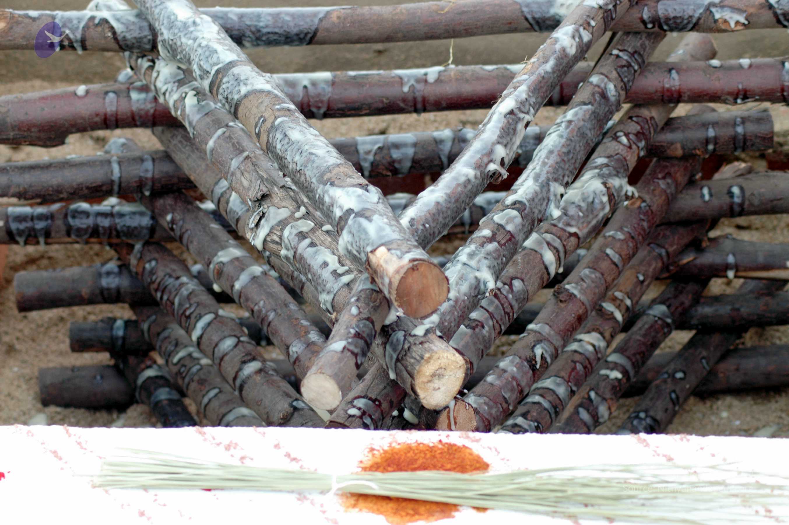 20070722_Picture 14801