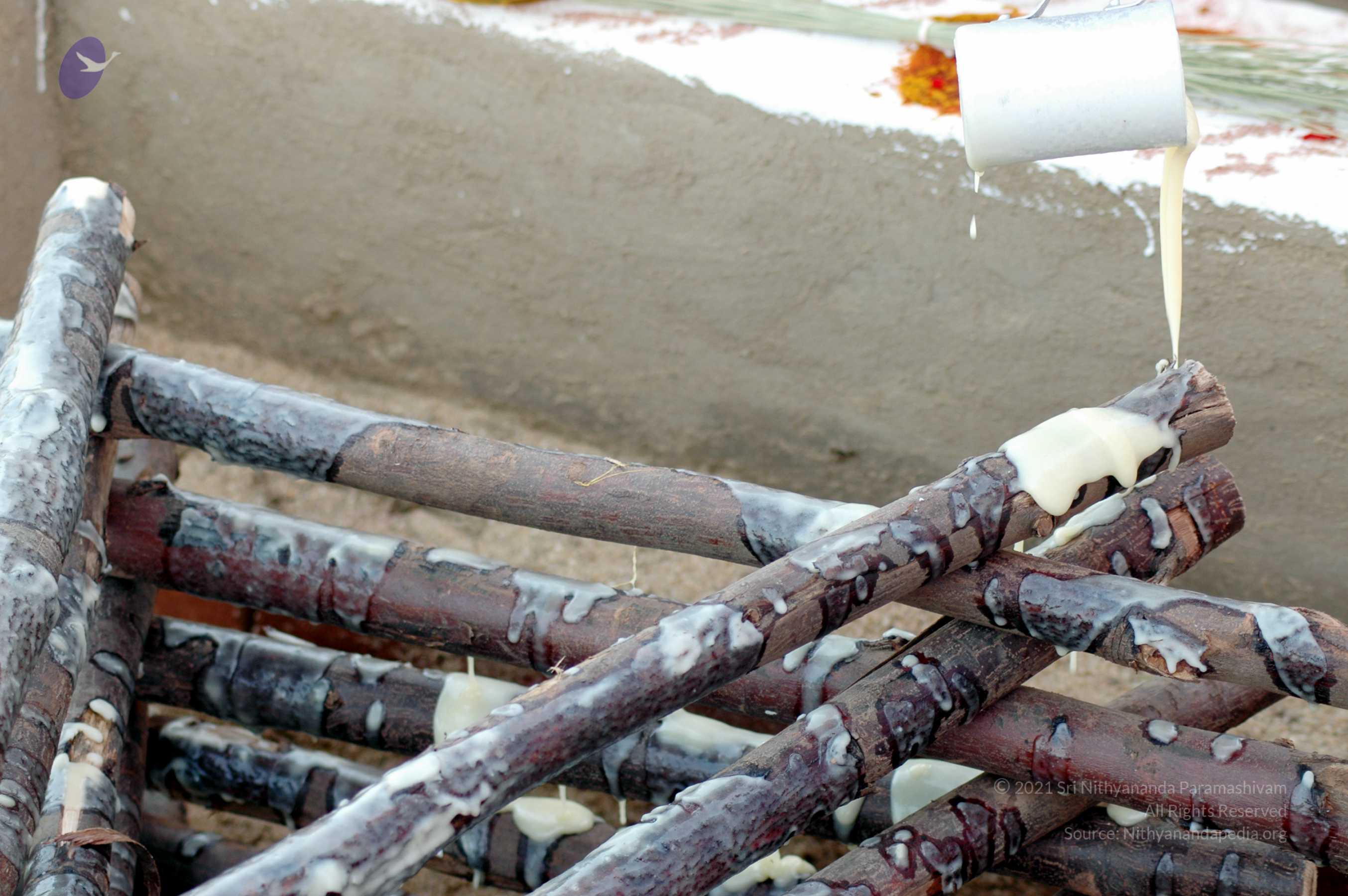 20070722_Picture 14901