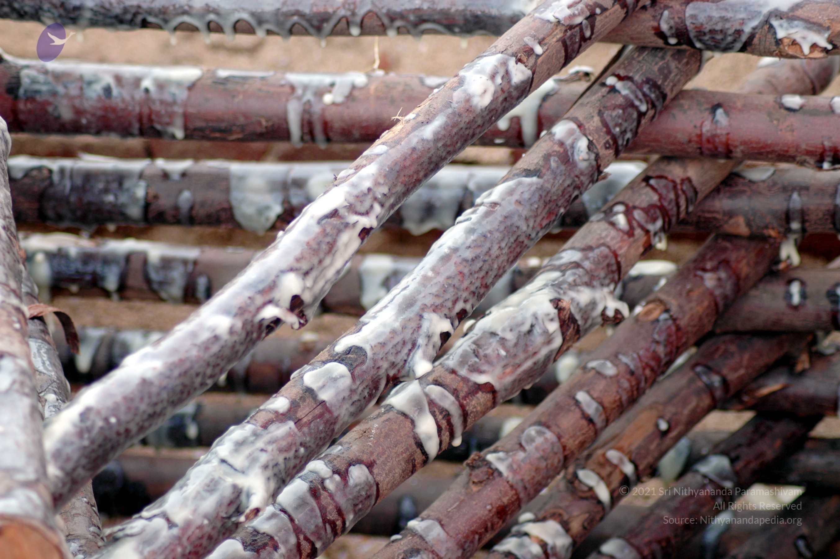 20070722_Picture 15101