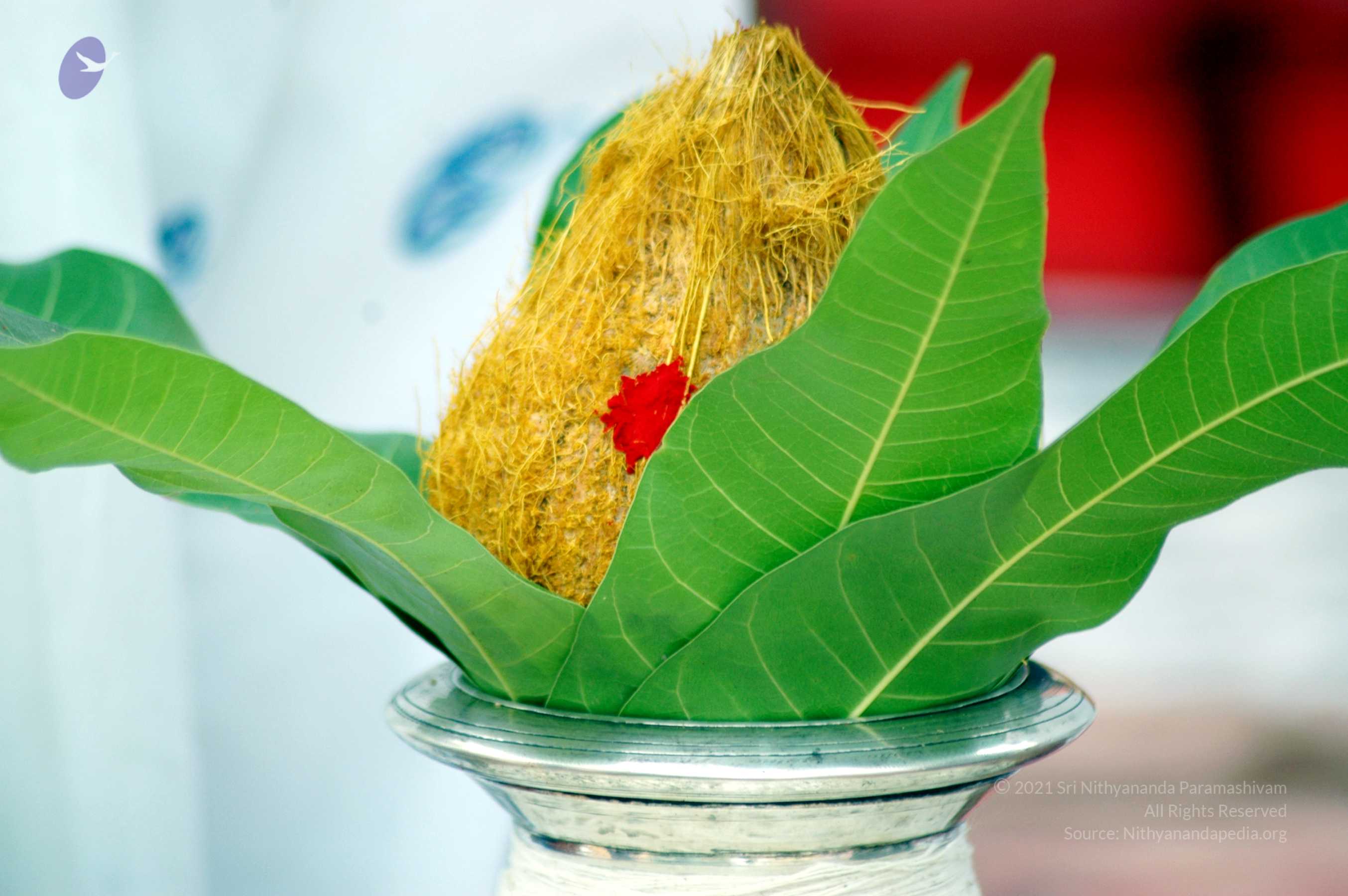 20070722_Picture 16701