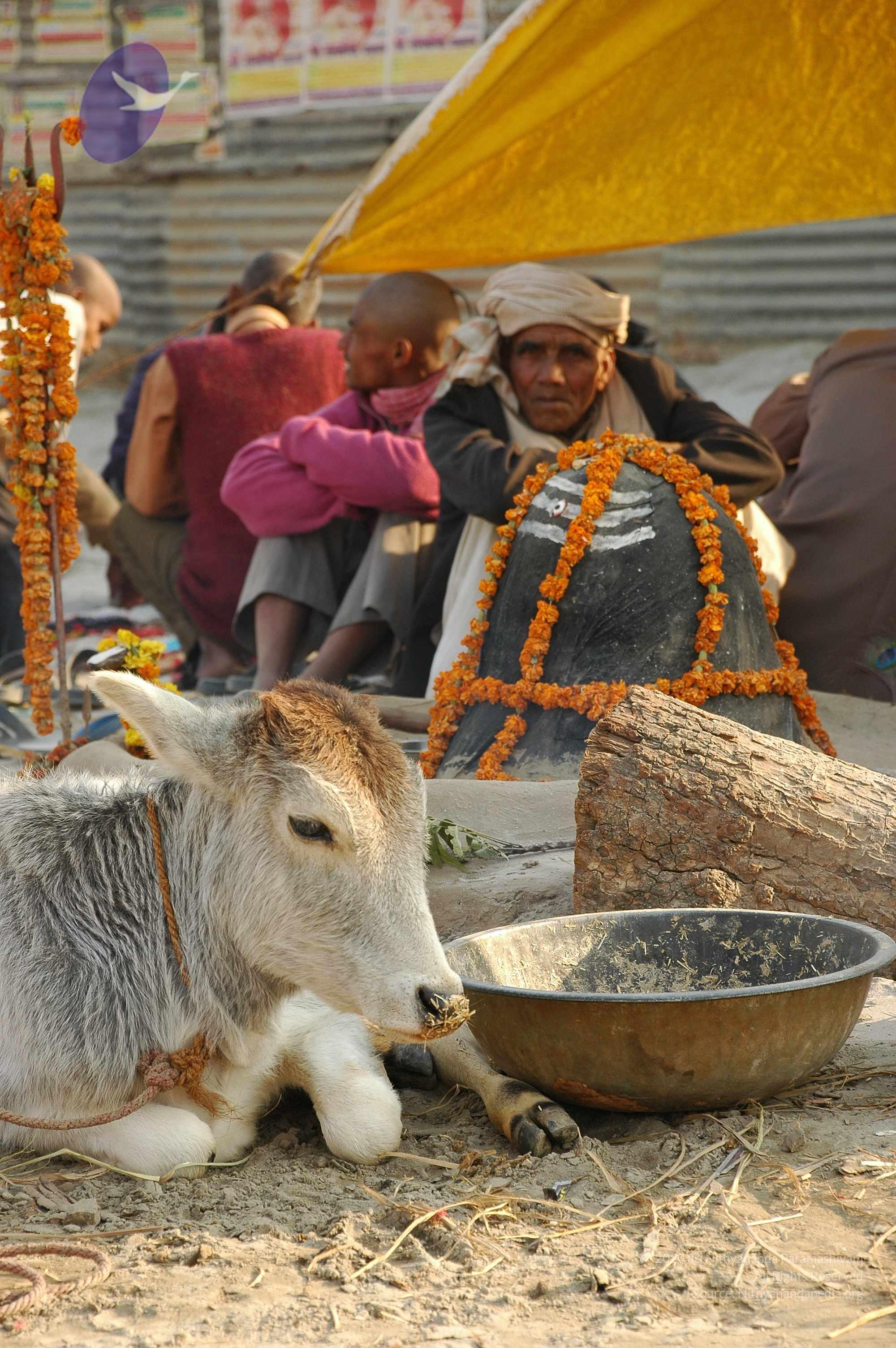 india-Ashram-Dic.30-31-1 -.05-06 053_CMP_WM