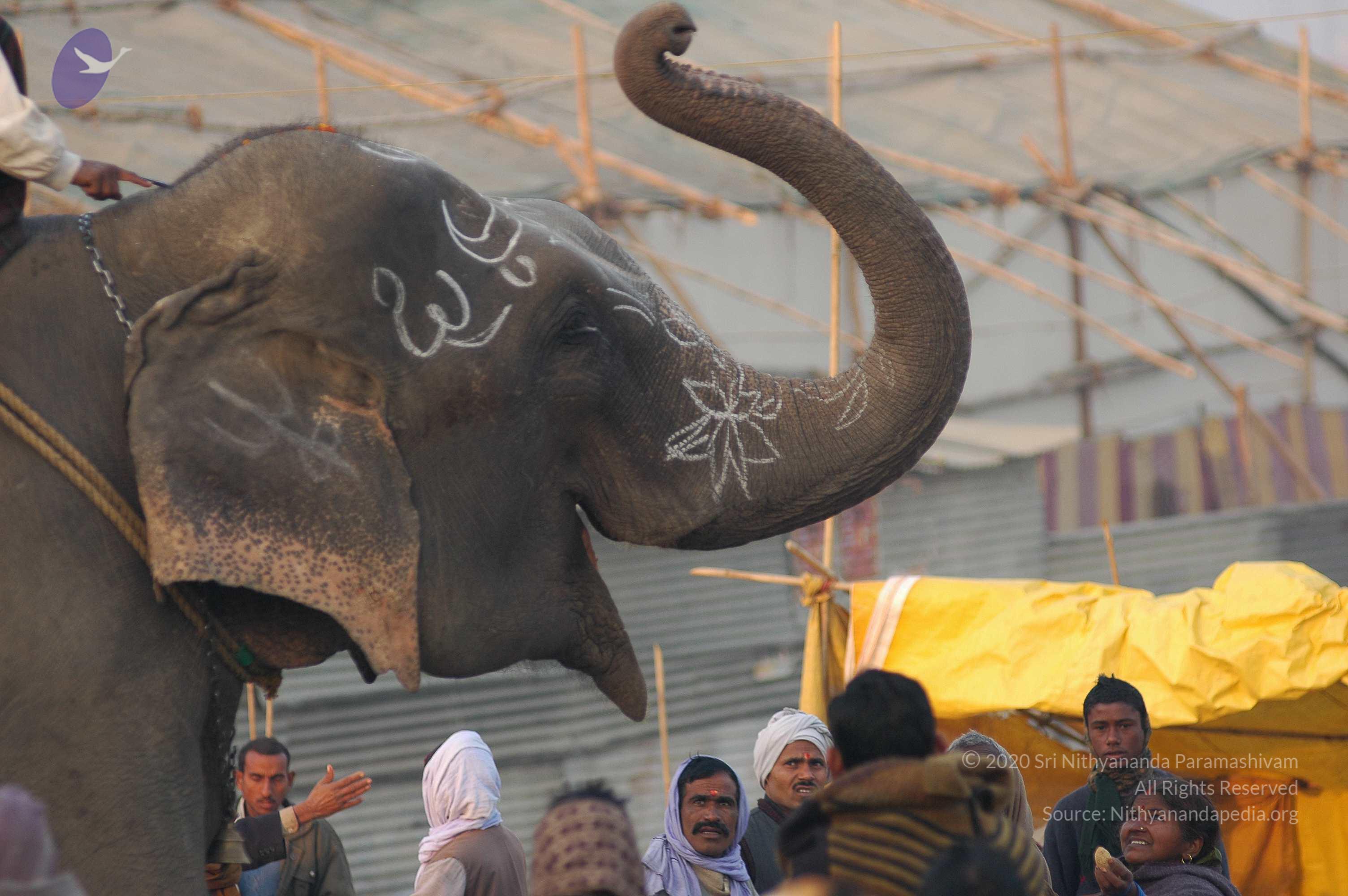 india-Ashram-Dic.30-31-1 -.05-06 161_CMP_WM