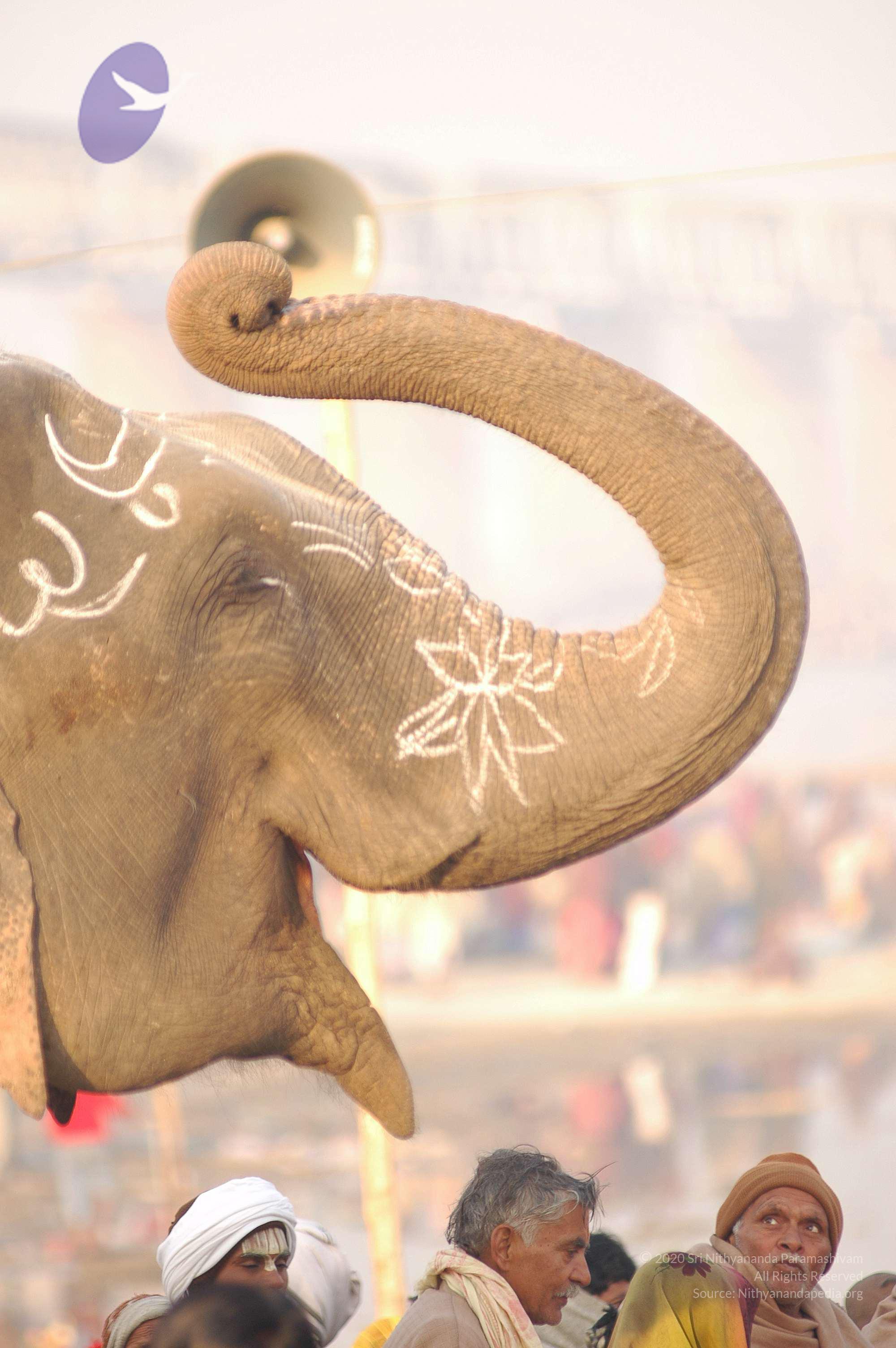 india-Ashram-Dic.30-31-1 -.05-06 177_CMP_WM