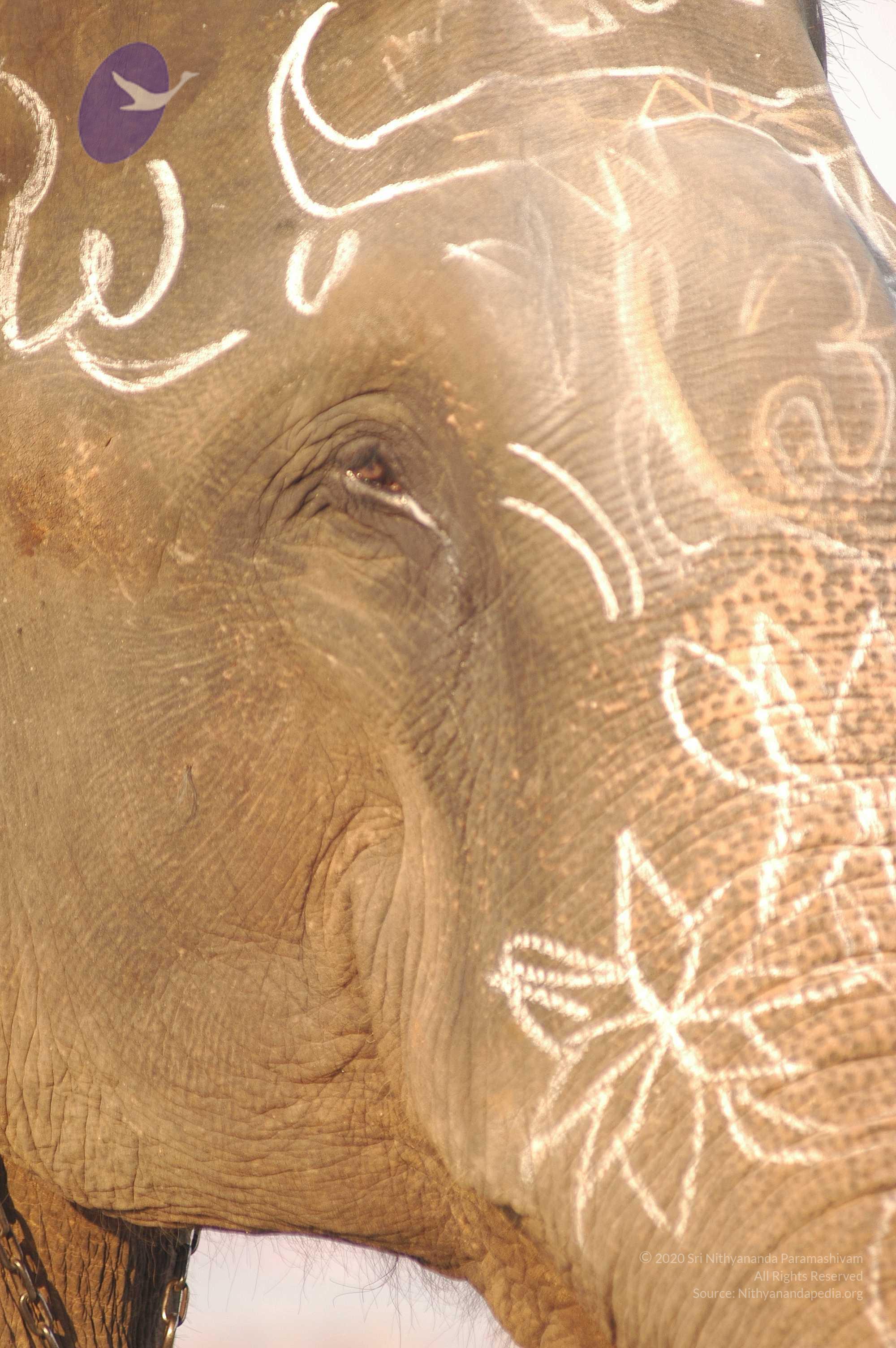 india-Ashram-Dic.30-31-1 -.05-06 178_CMP_WM