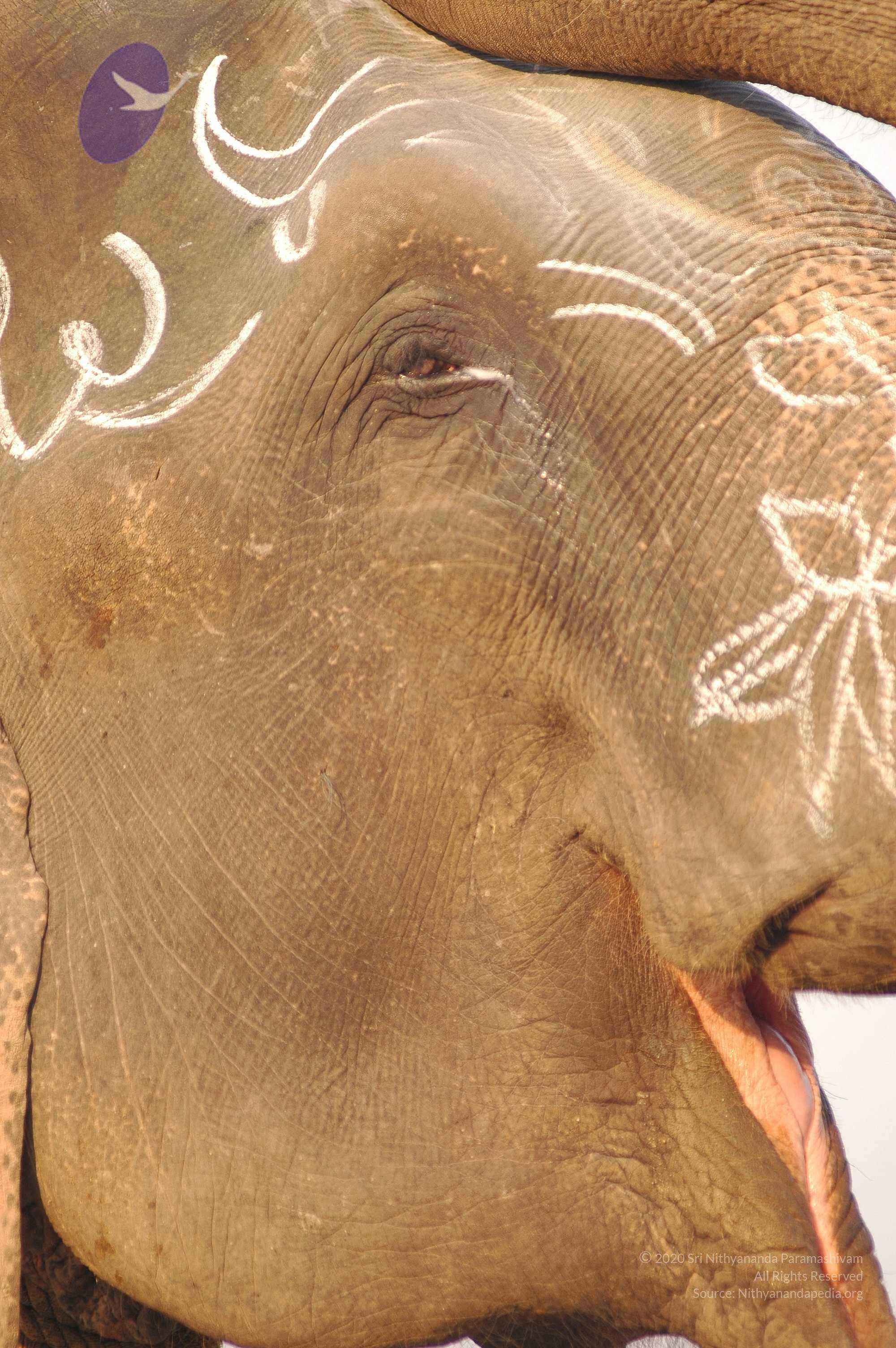 india-Ashram-Dic.30-31-1 -.05-06 179_CMP_WM