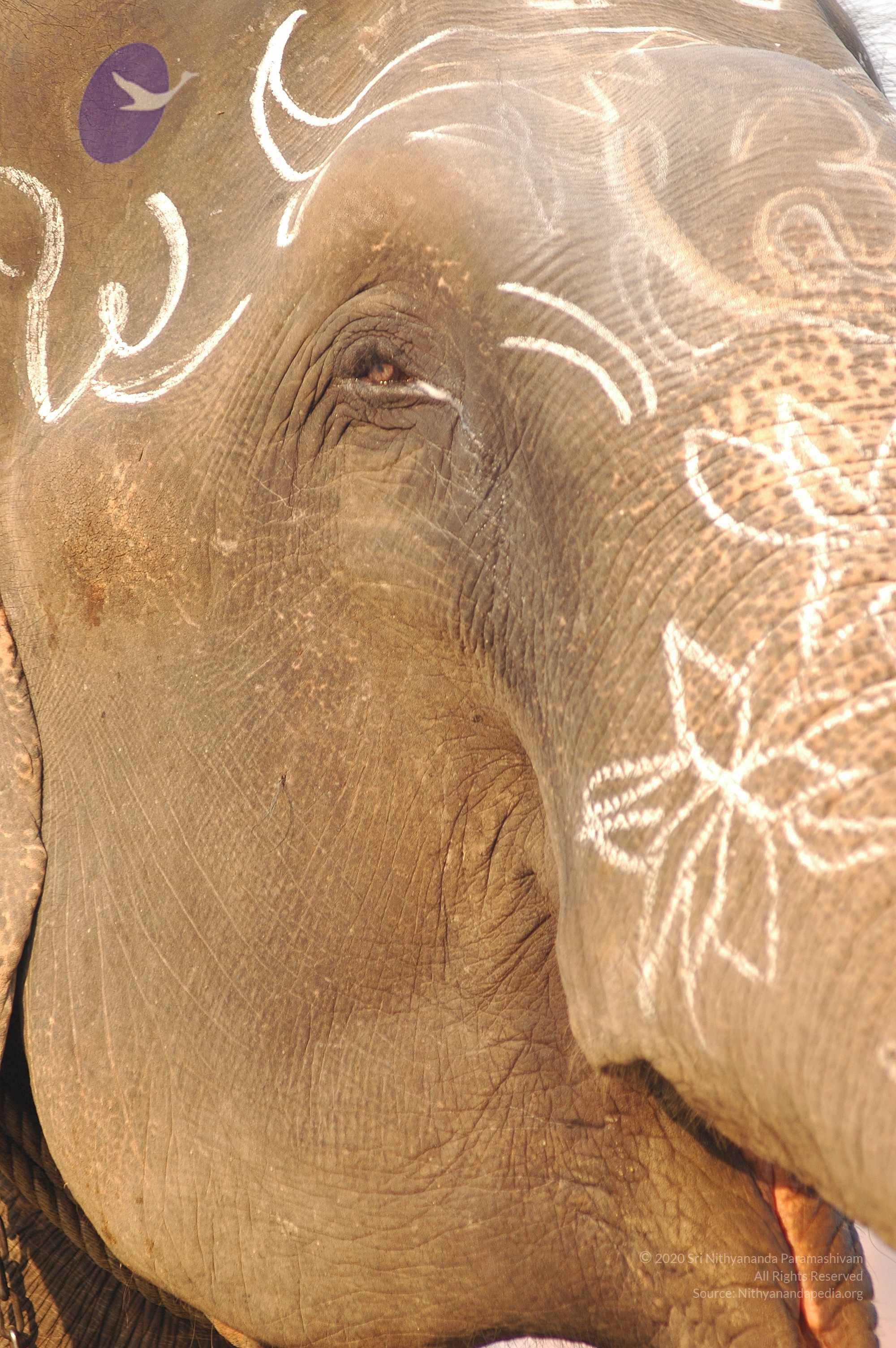 india-Ashram-Dic.30-31-1 -.05-06 180_CMP_WM