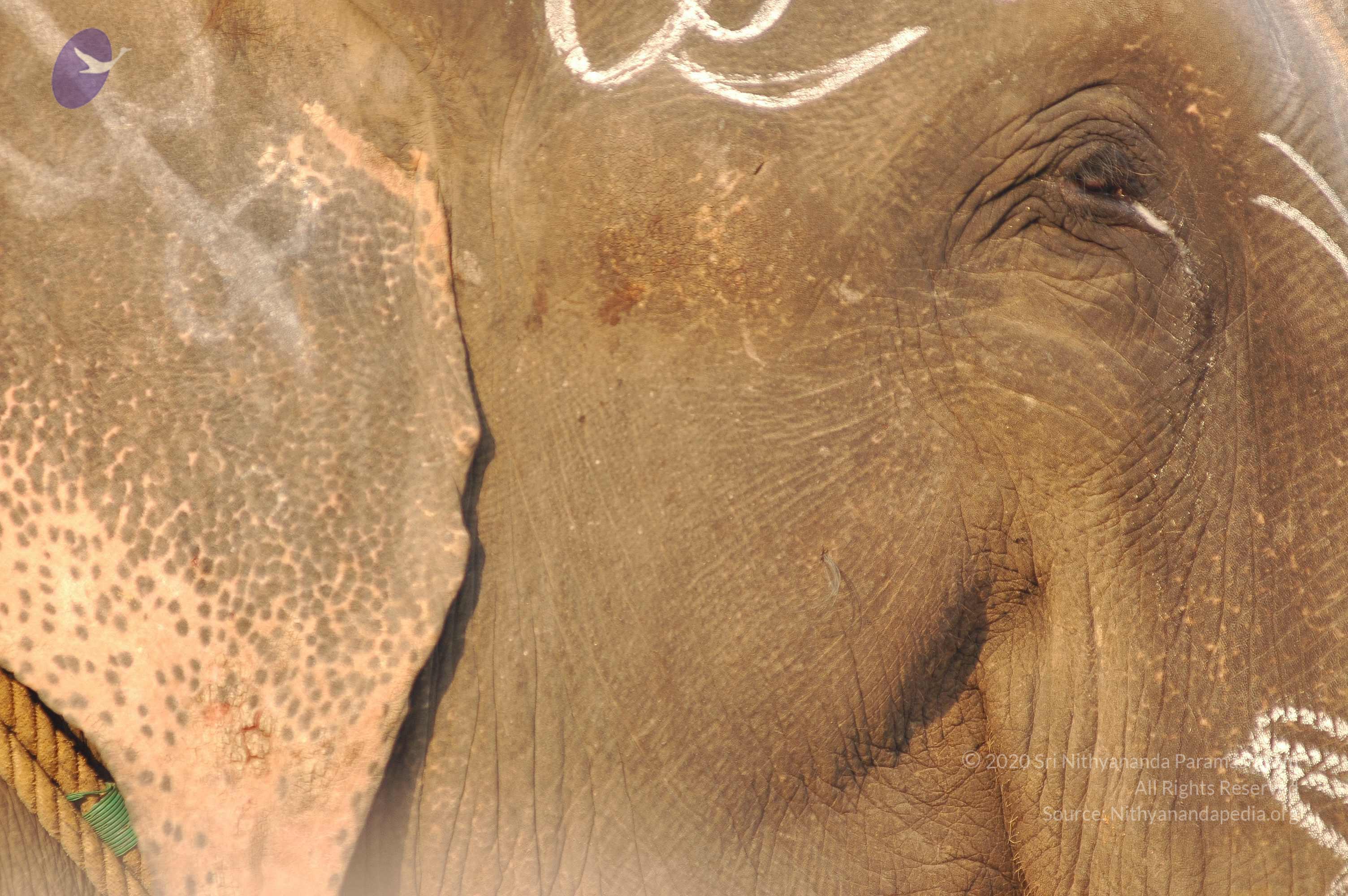 india-Ashram-Dic.30-31-1 -.05-06 181_CMP_WM