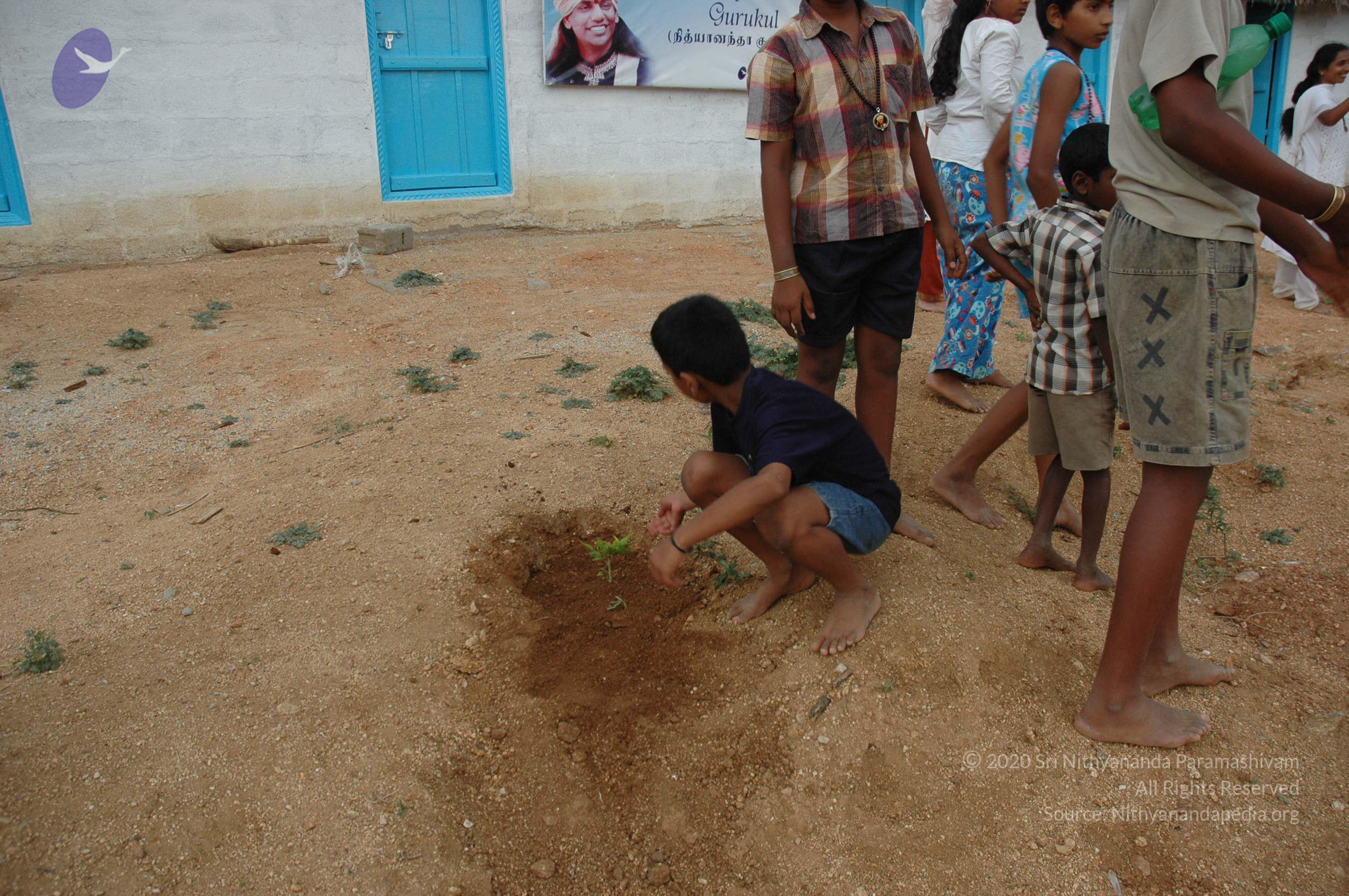 20070504_Photo_1086_DSC_5333_CMP_WM