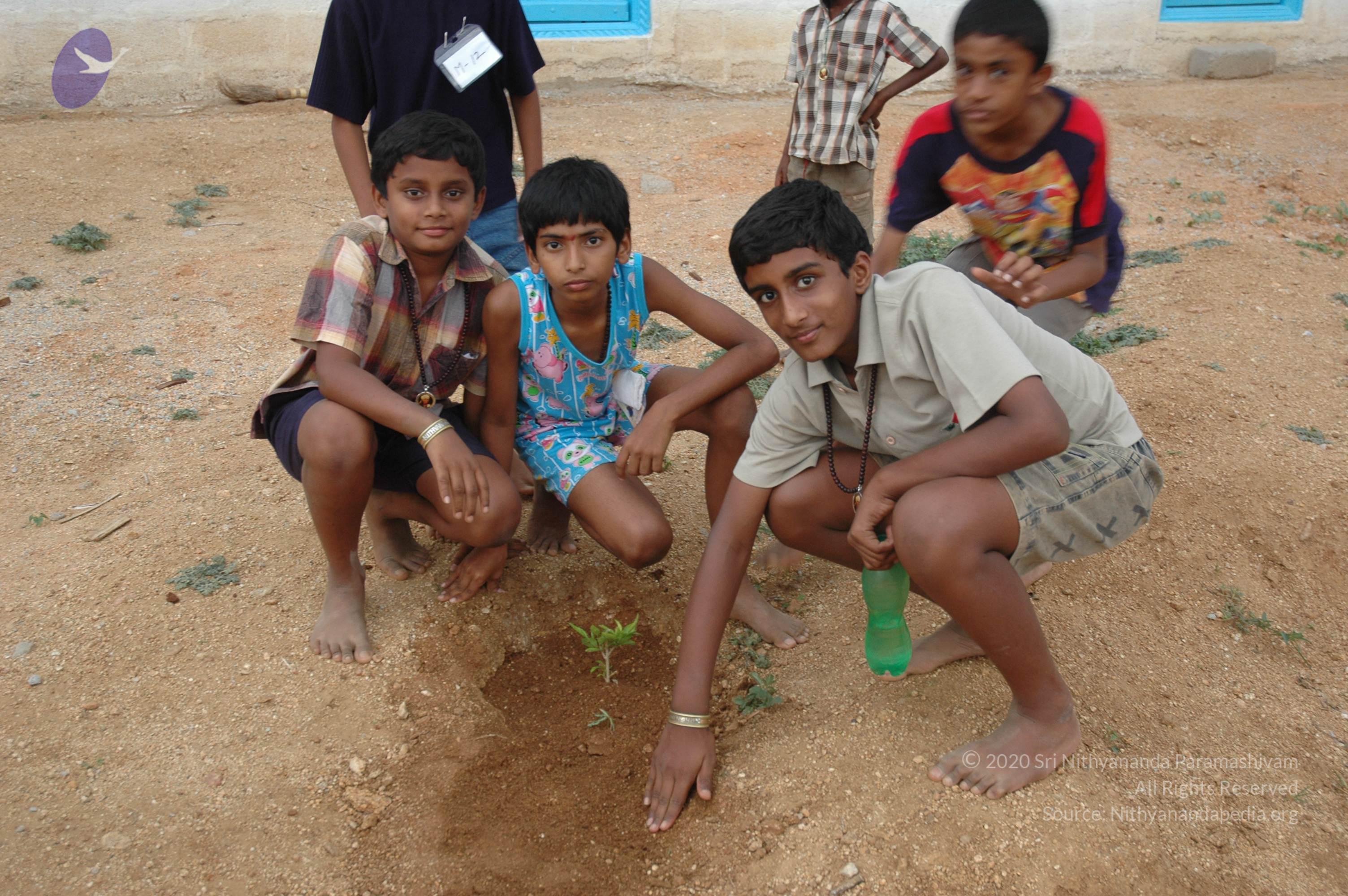 20070504_Photo_1154_DSC_5334_CMP_WM