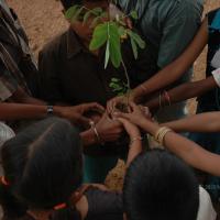 20070504_Photo_1261_DSC_5323_CMP_WM