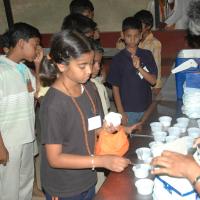 20070504_Photo_1305_DSC_5290_CMP_WM