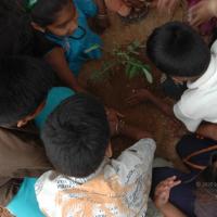 20070504_Photo_1429_DSC_5330_CMP_WM