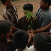 20070504_Photo_1473_DSC_5324_CMP_WM