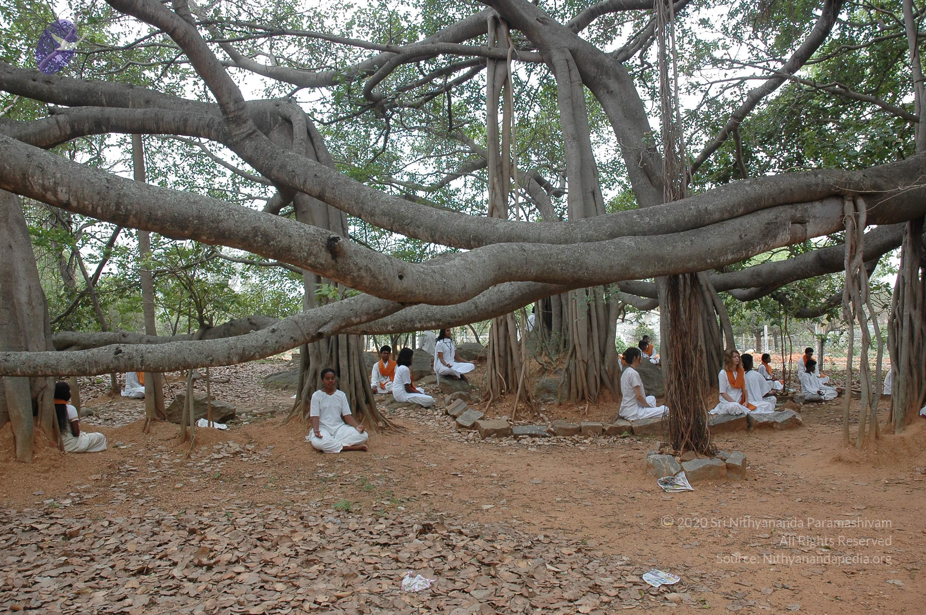 20070504_Photo_1022_DSC_5695_CMP_WM