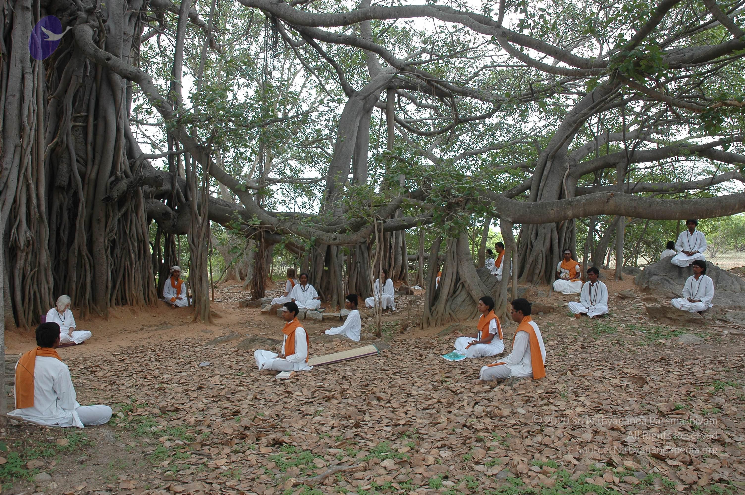 20070504_Photo_1048_DSC_5694_CMP_WM