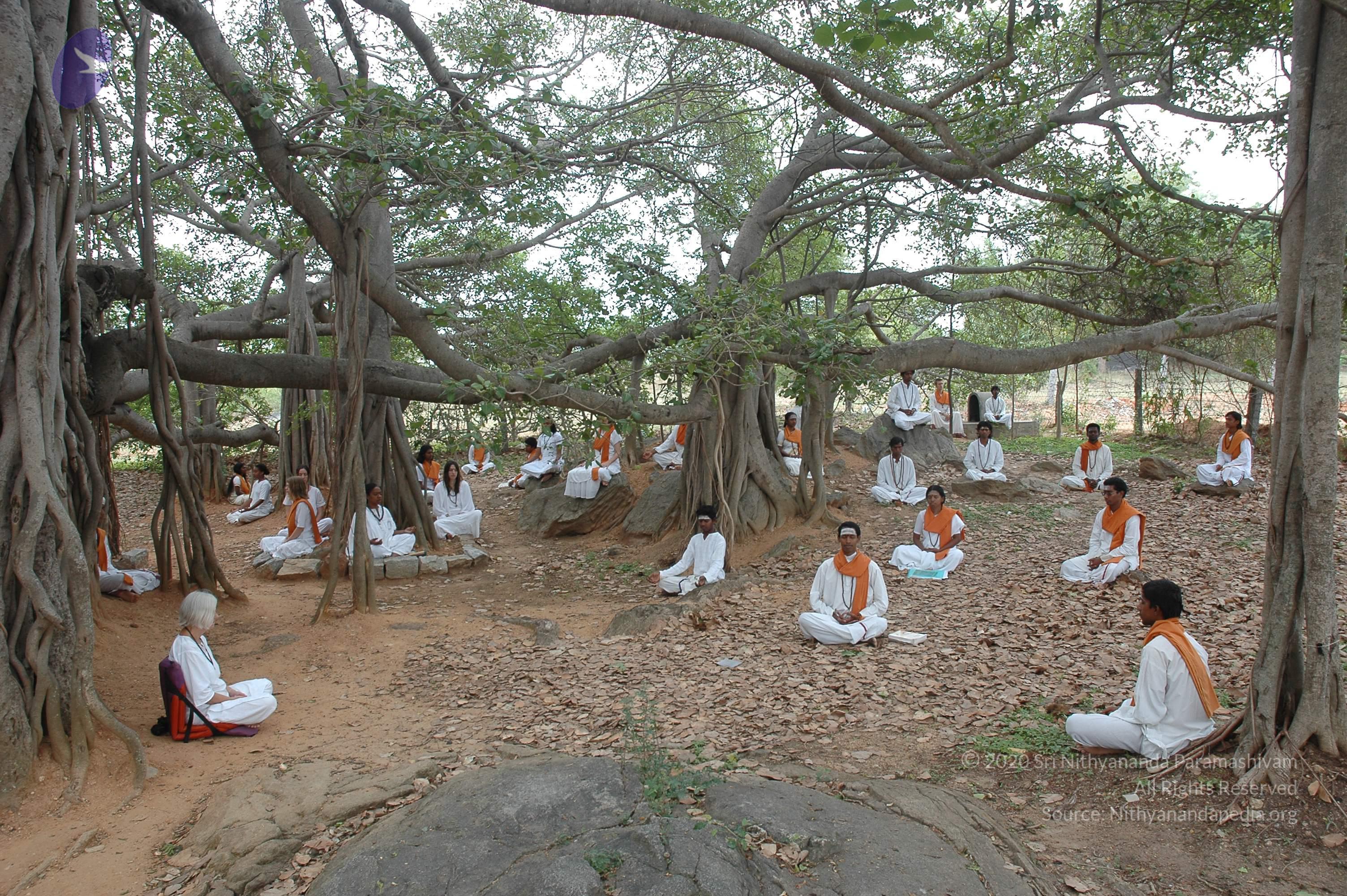 20070504_Photo_1060_DSC_5691_CMP_WM