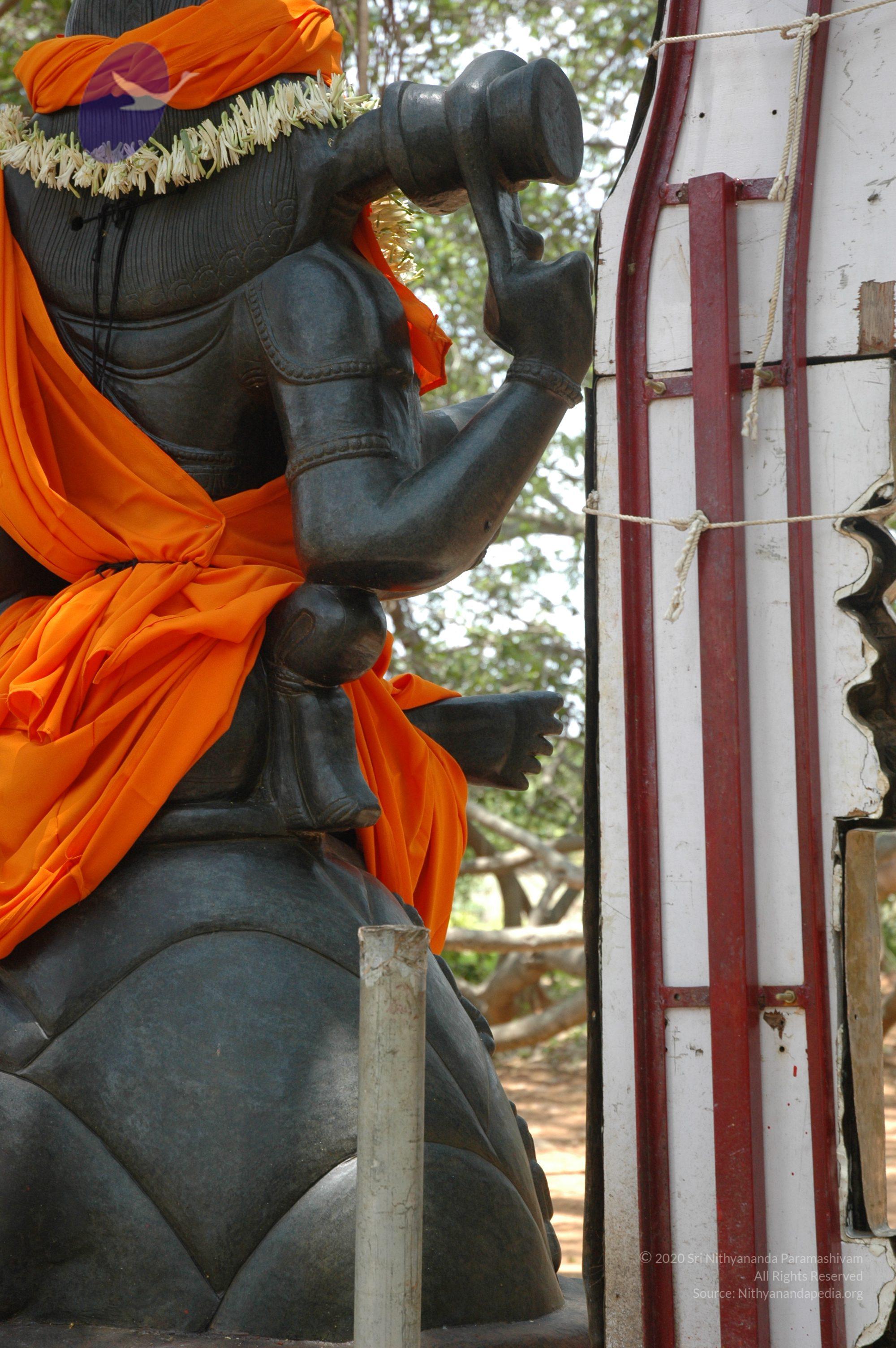 20070504_Photo_1000_DSC_4950_CMP_WM