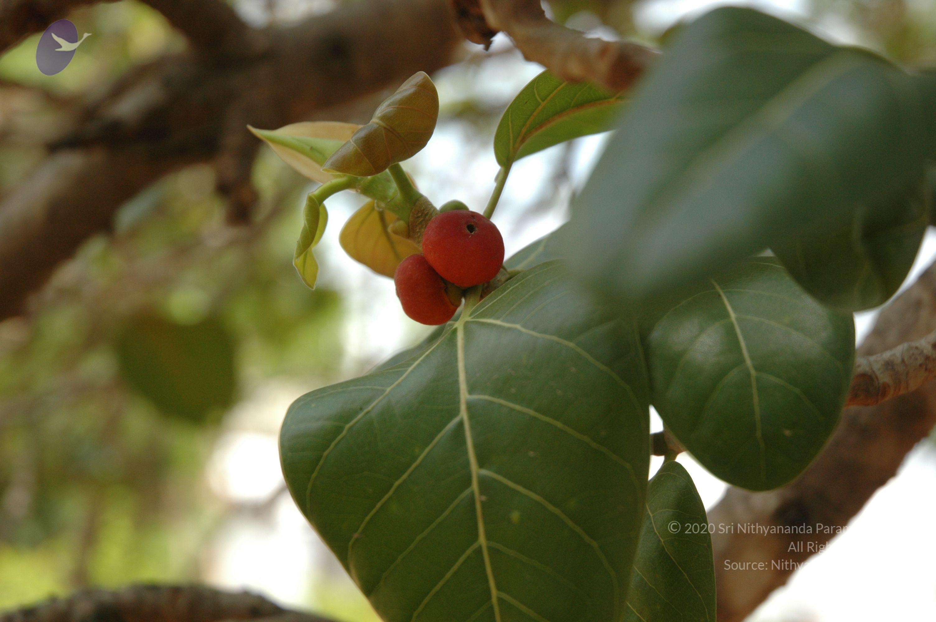 20070504_Photo_1001_DSC_5097_CMP_WM