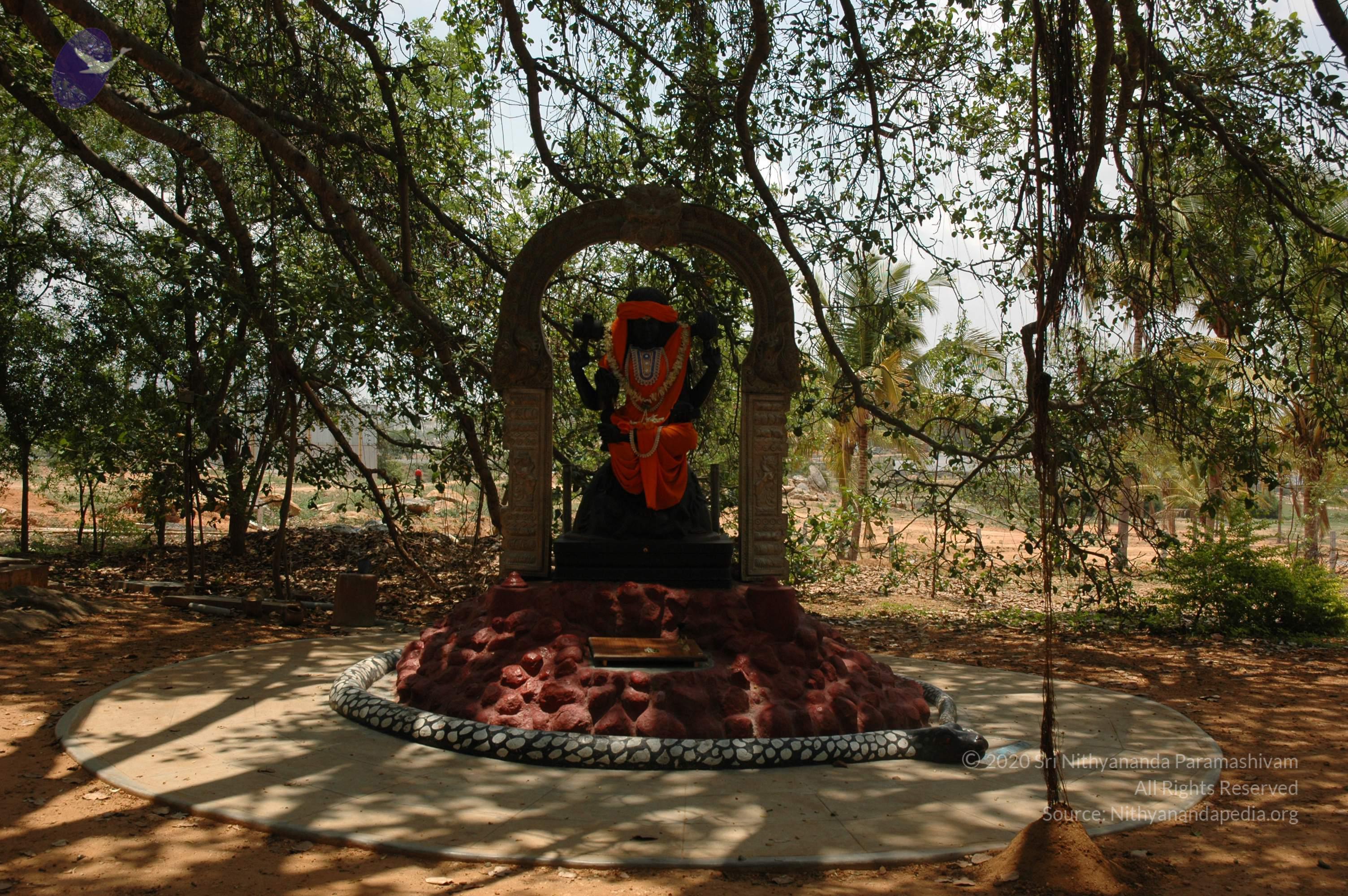 20070504_Photo_1003_DSC_4905_CMP_WM