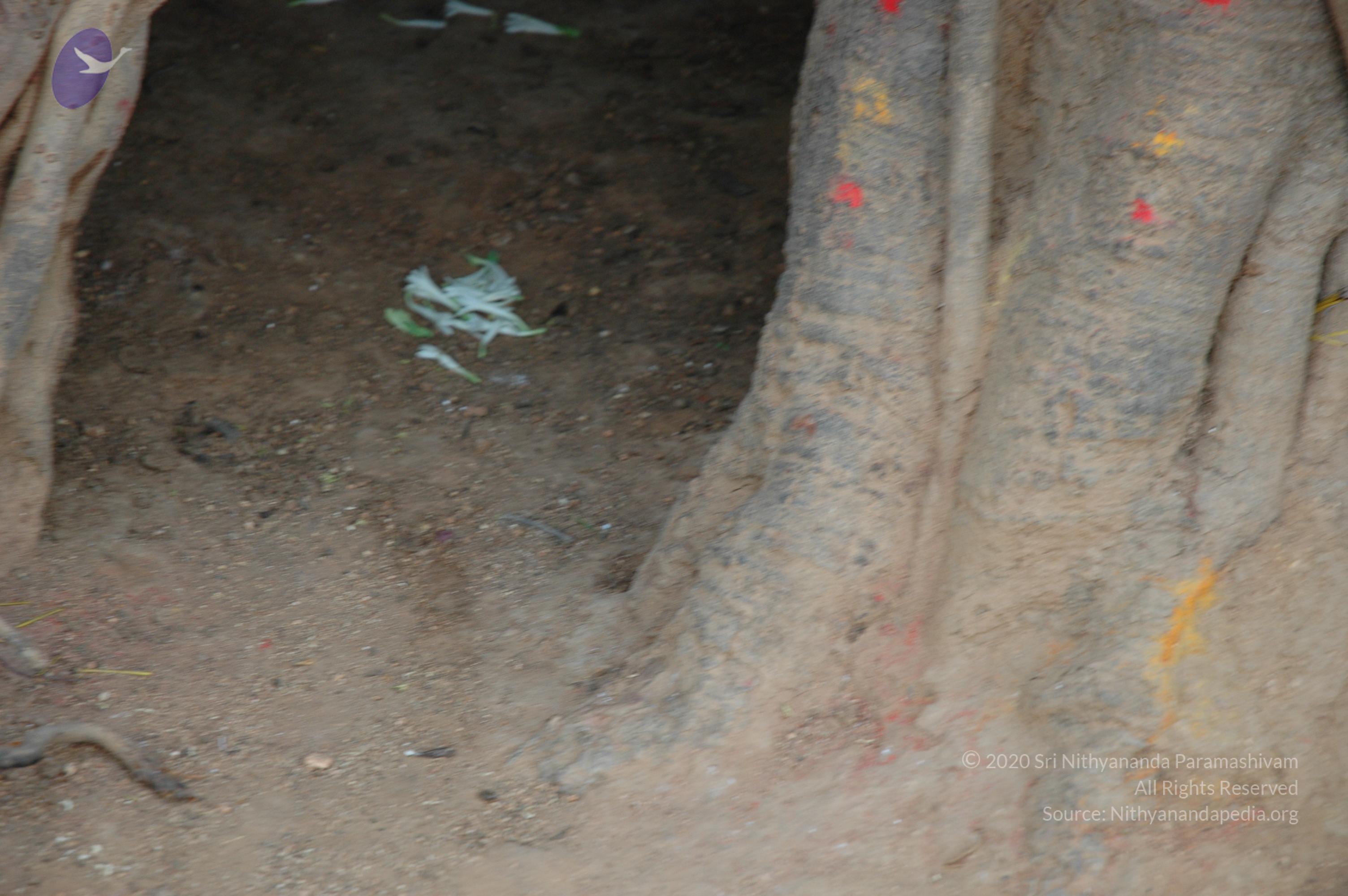 20070504_Photo_1005_DSC_5016_CMP_WM