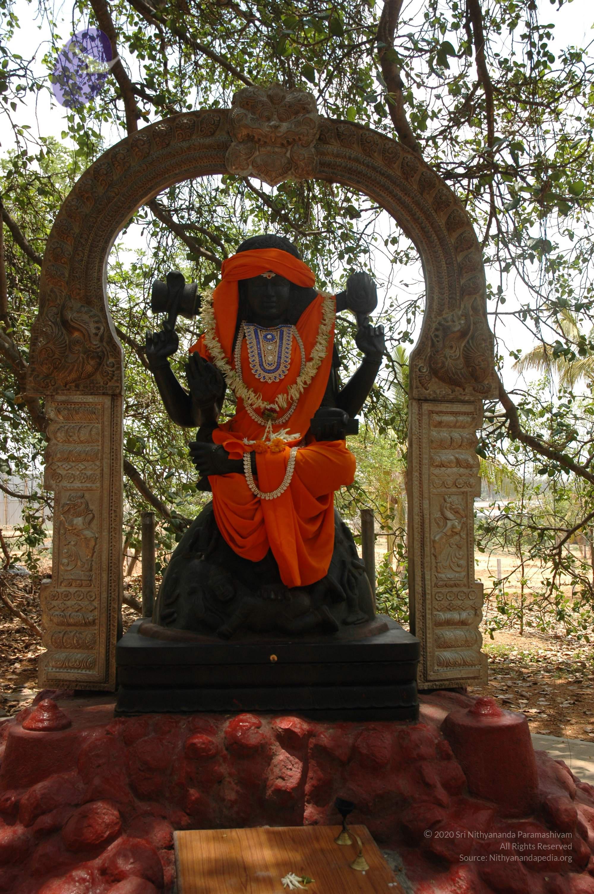 20070504_Photo_1011_DSC_4884_CMP_WM