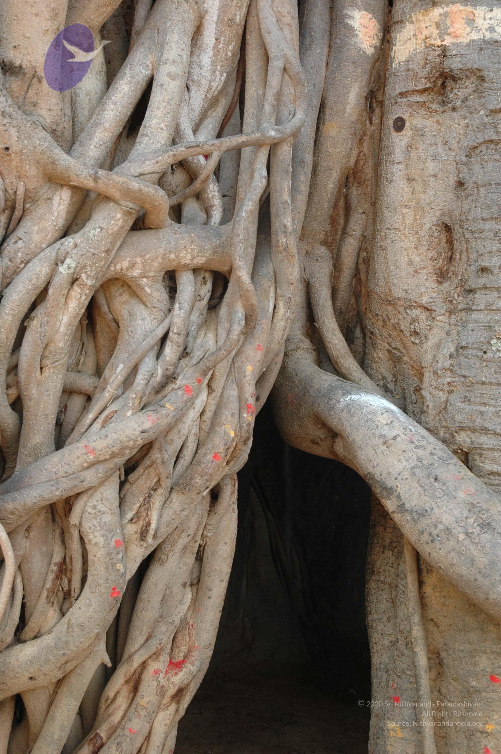 20070504_Photo_1013_DSC_5002_CMP_WM