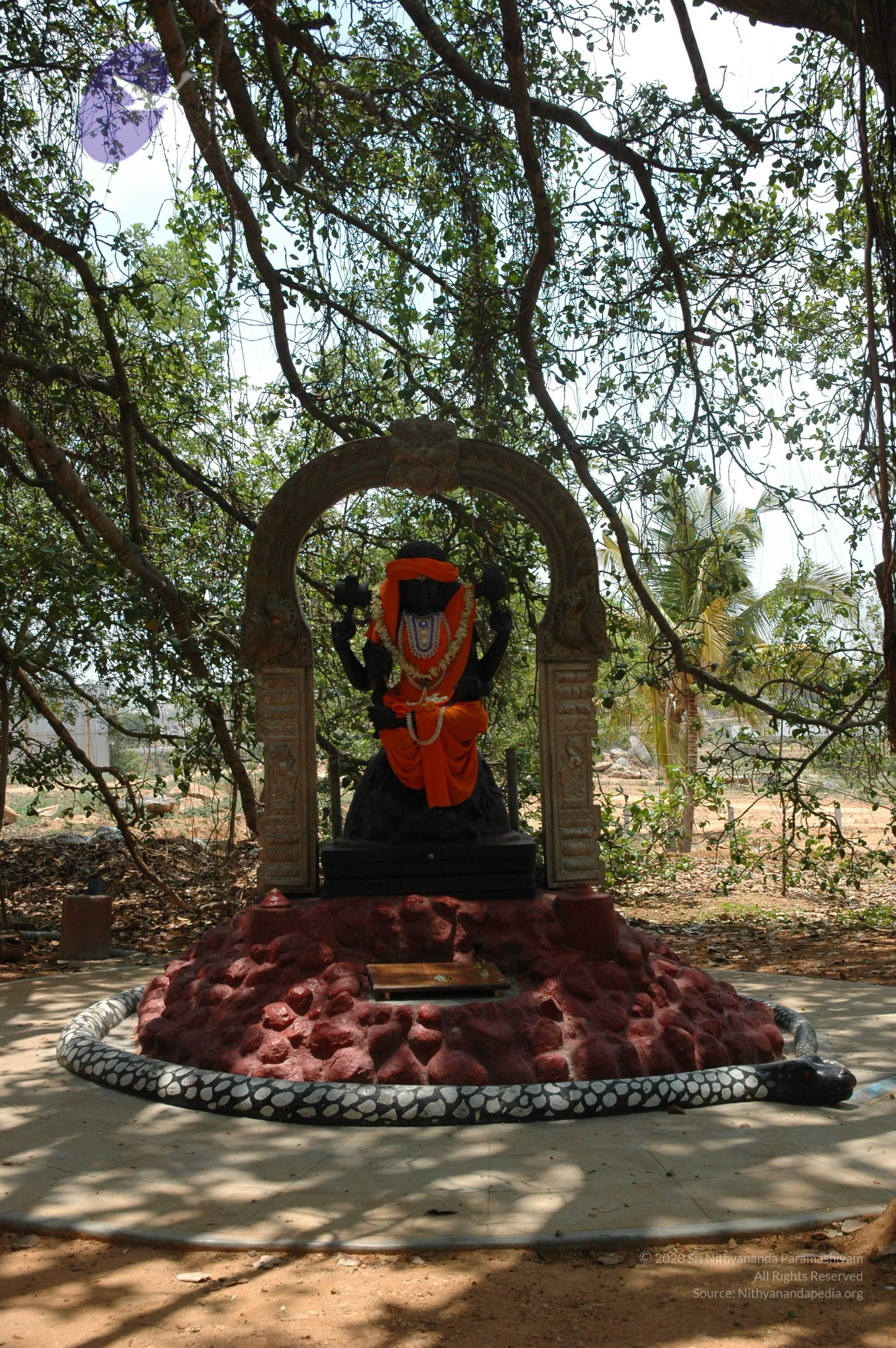 20070504_Photo_1018_DSC_4898_CMP_WM