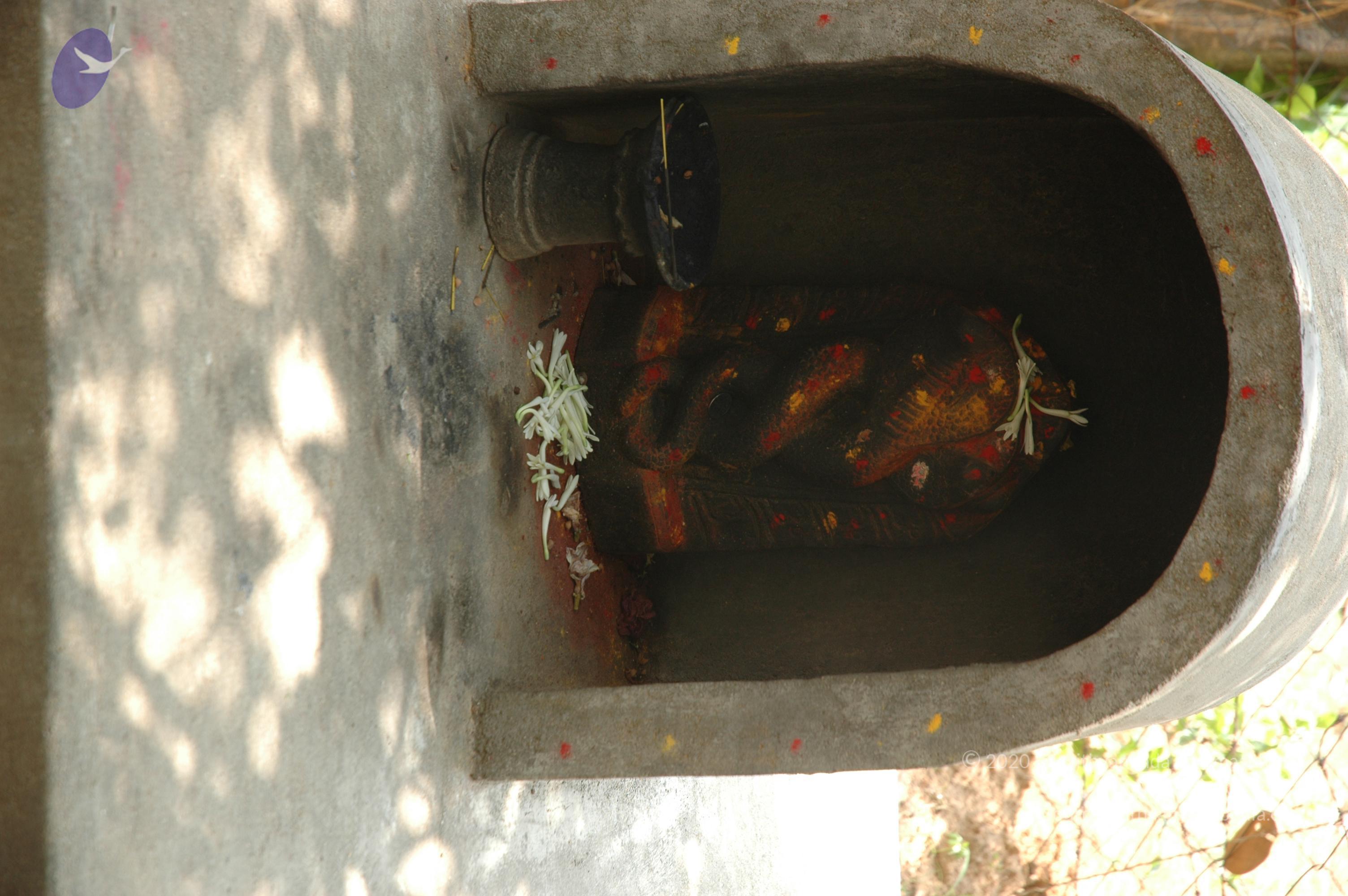 20070504_Photo_1019_DSC_5038_CMP_WM