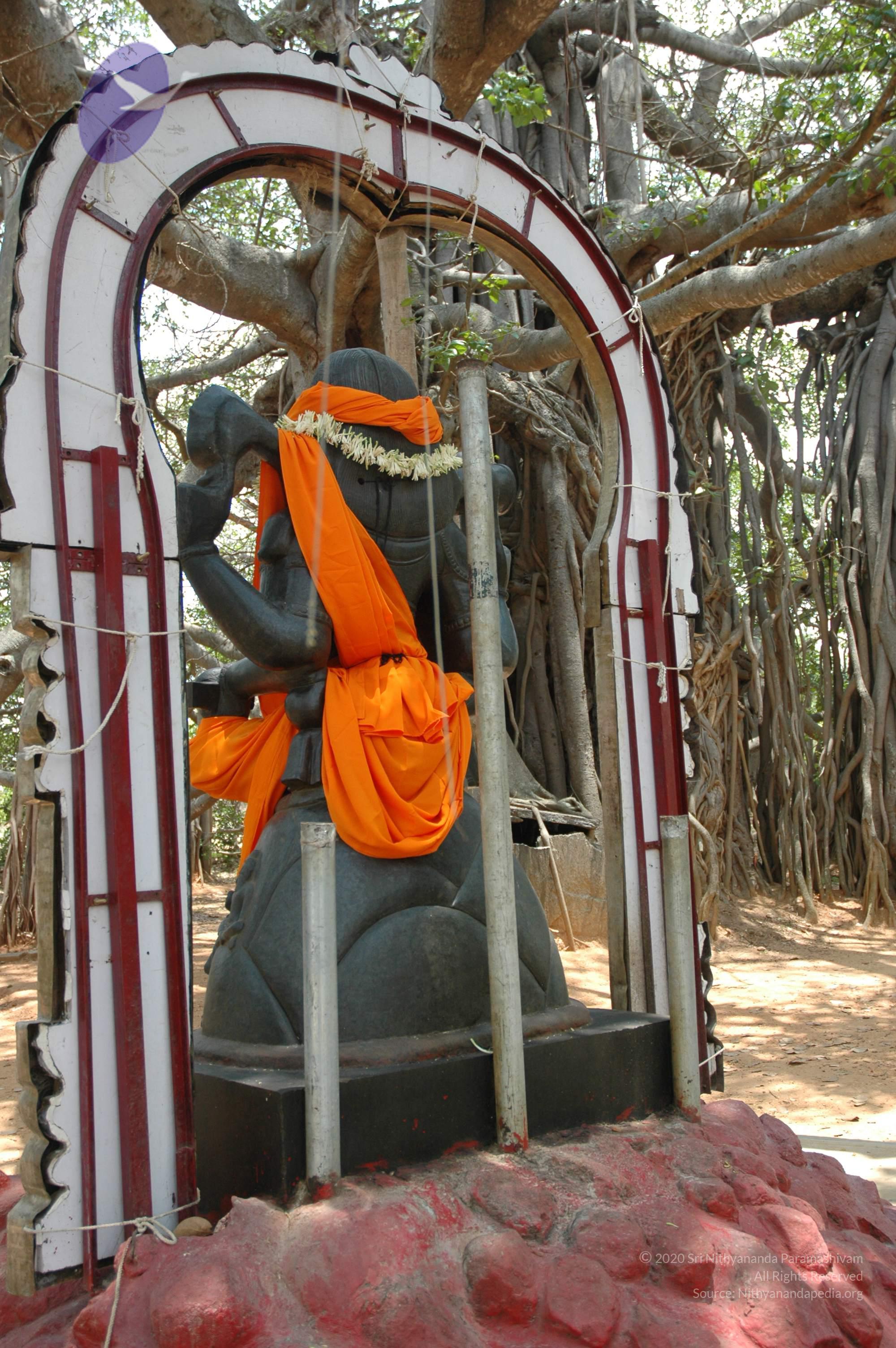 20070504_Photo_1022_DSC_4955_CMP_WM