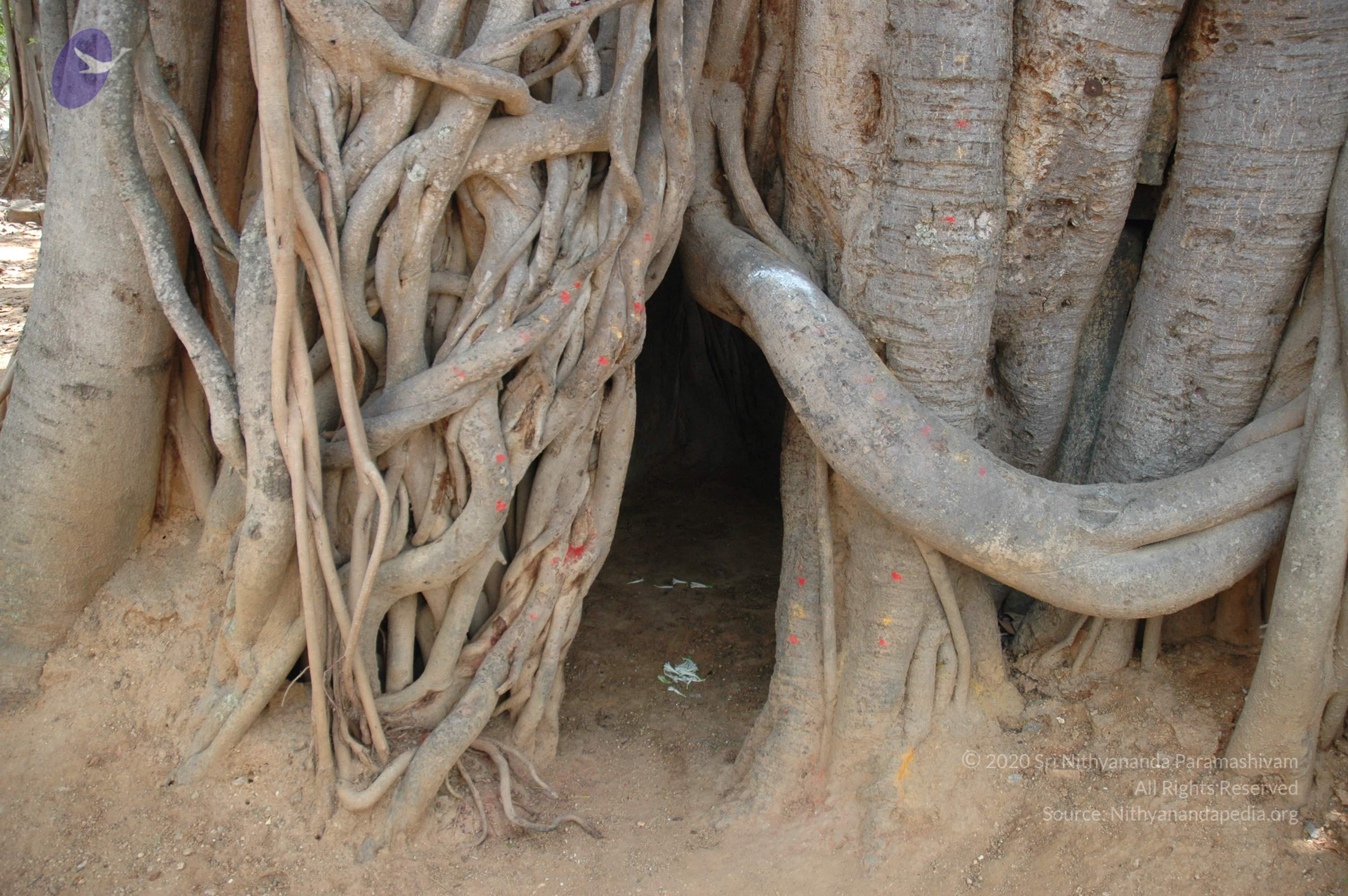 20070504_Photo_1025_DSC_5024_CMP_WM