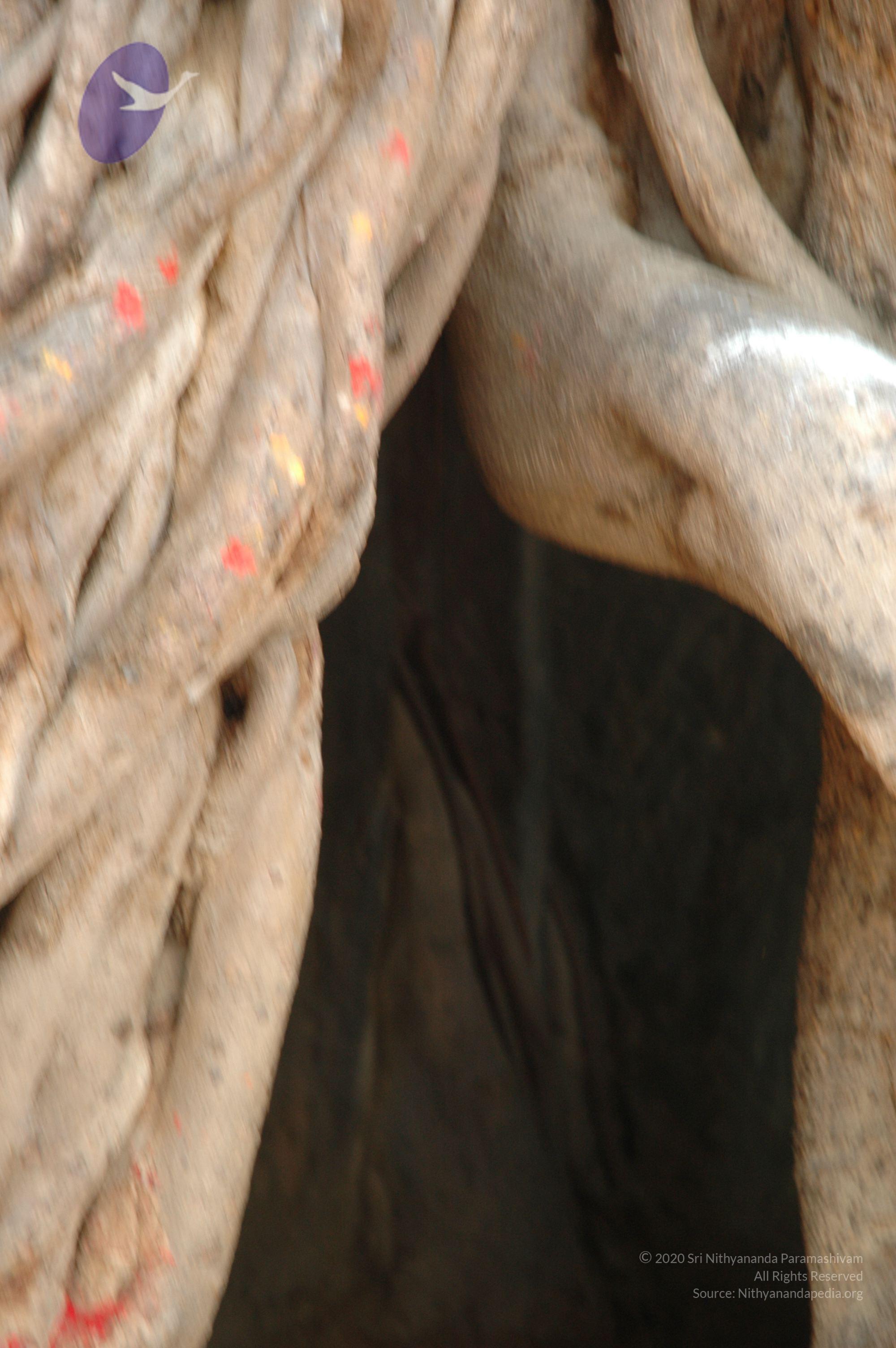 20070504_Photo_1028_DSC_5014_CMP_WM