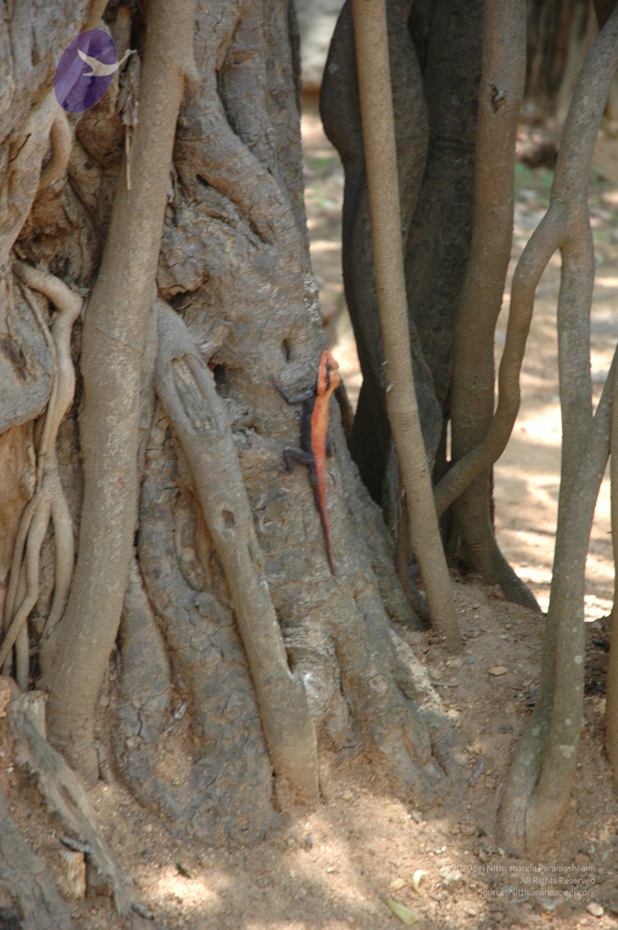 20070504_Photo_1035_DSC_4974_CMP_WM