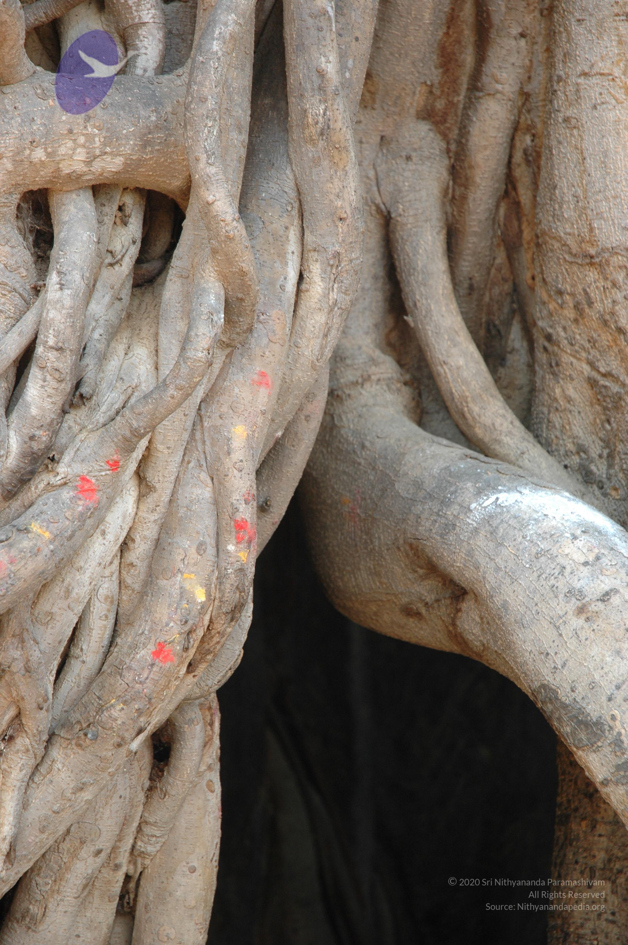 20070504_Photo_1046_DSC_5011_CMP_WM