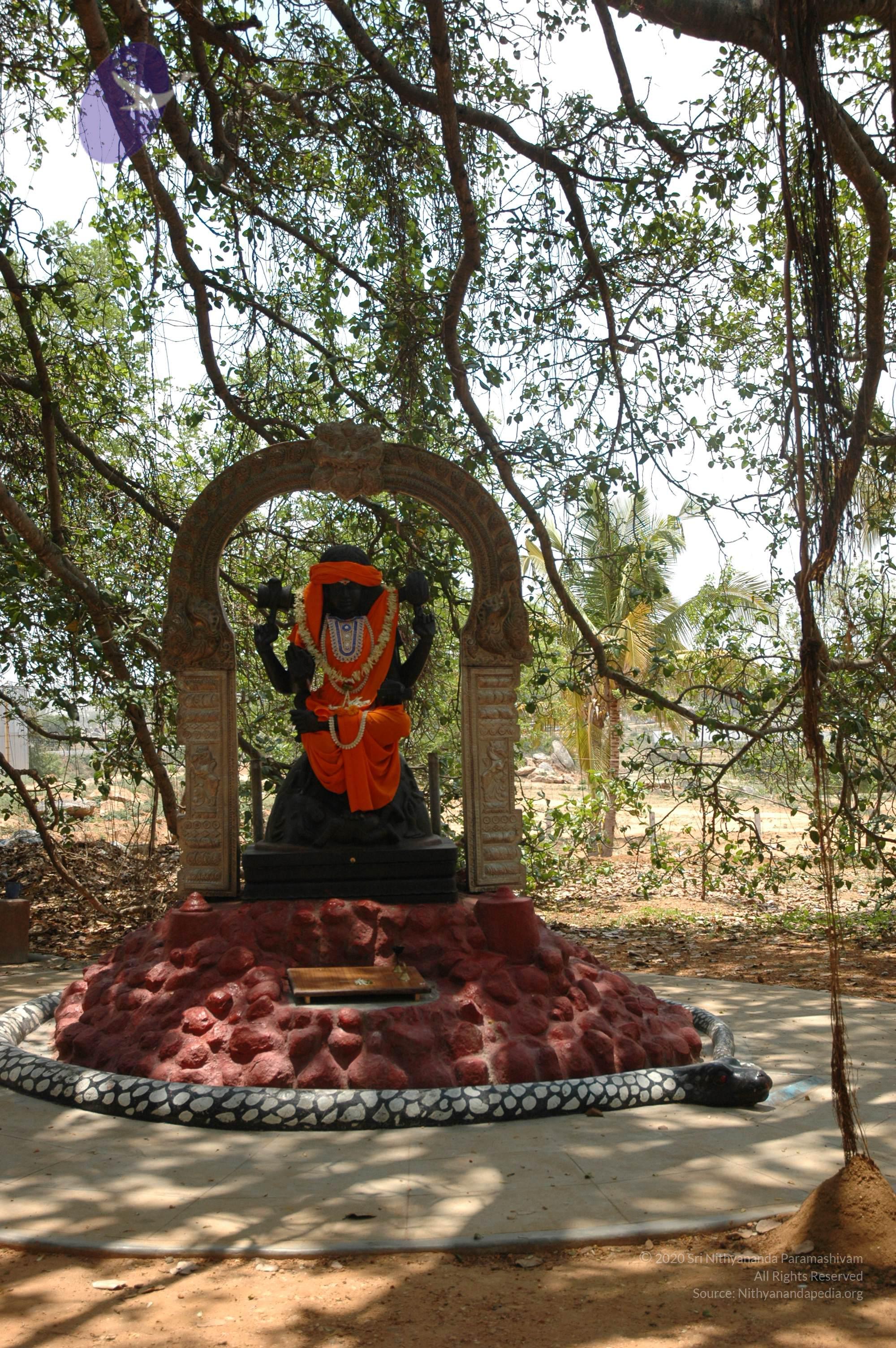 20070504_Photo_1047_DSC_4897_CMP_WM