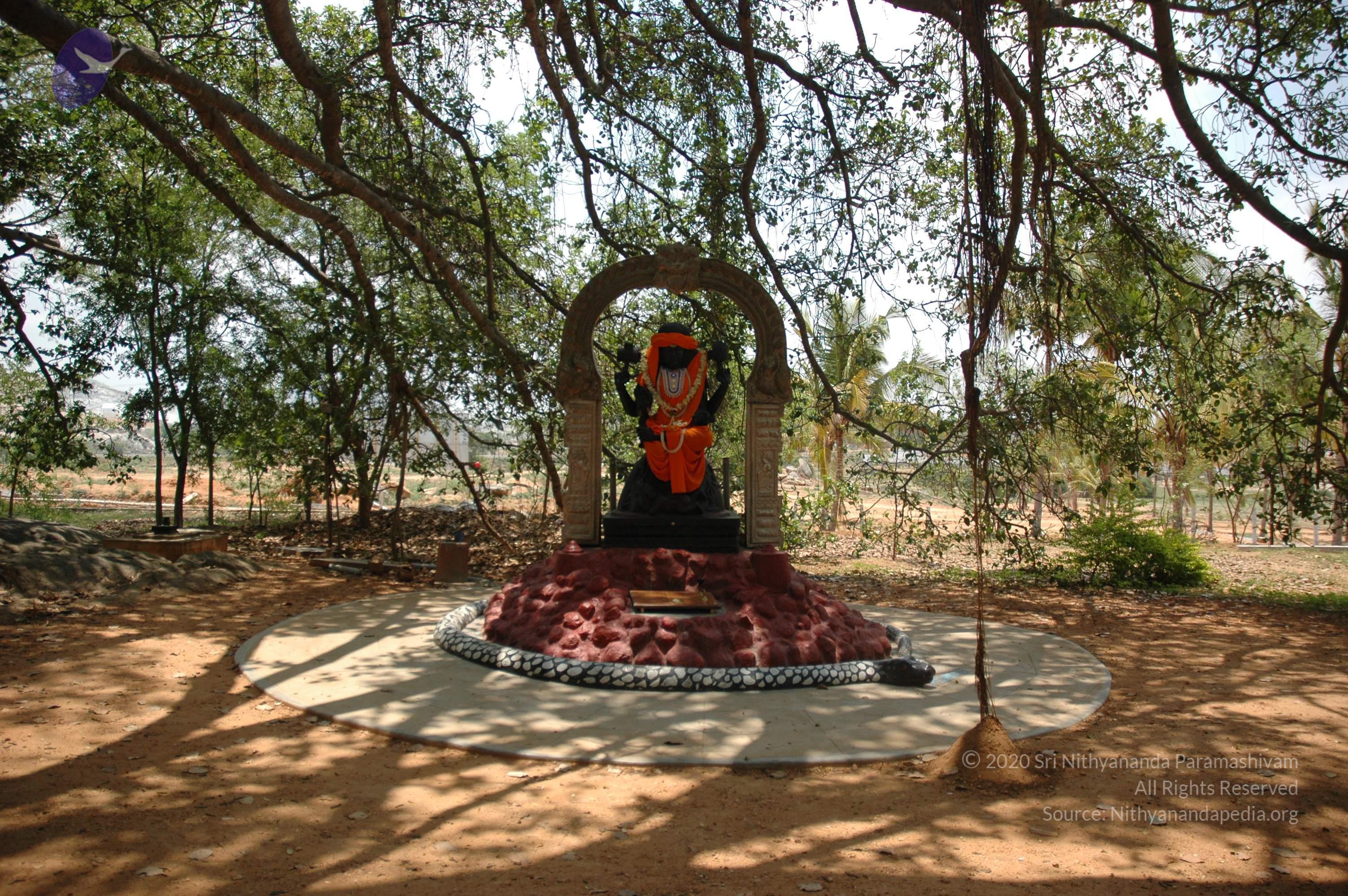 20070504_Photo_1050_DSC_4902_CMP_WM