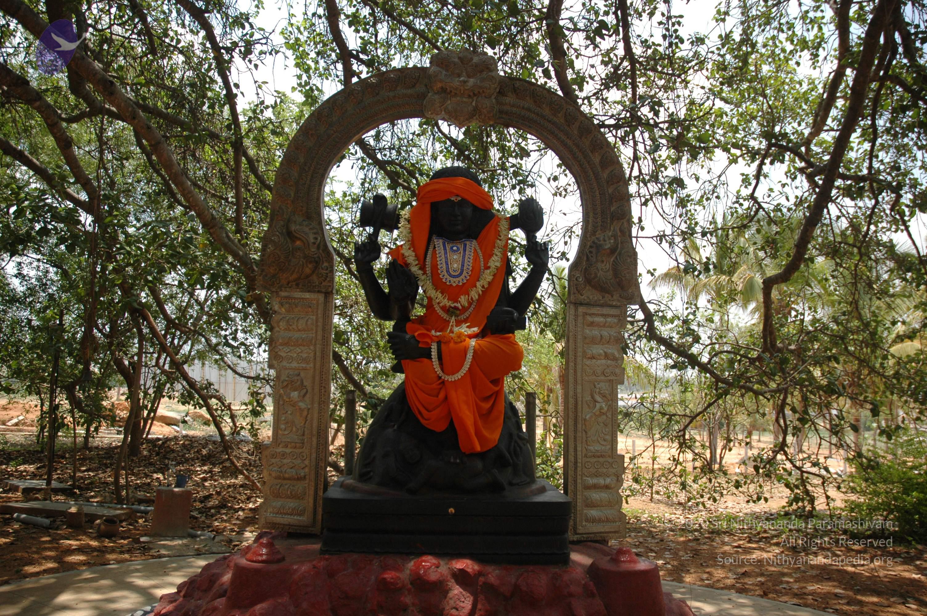 20070504_Photo_1051_DSC_4885_CMP_WM