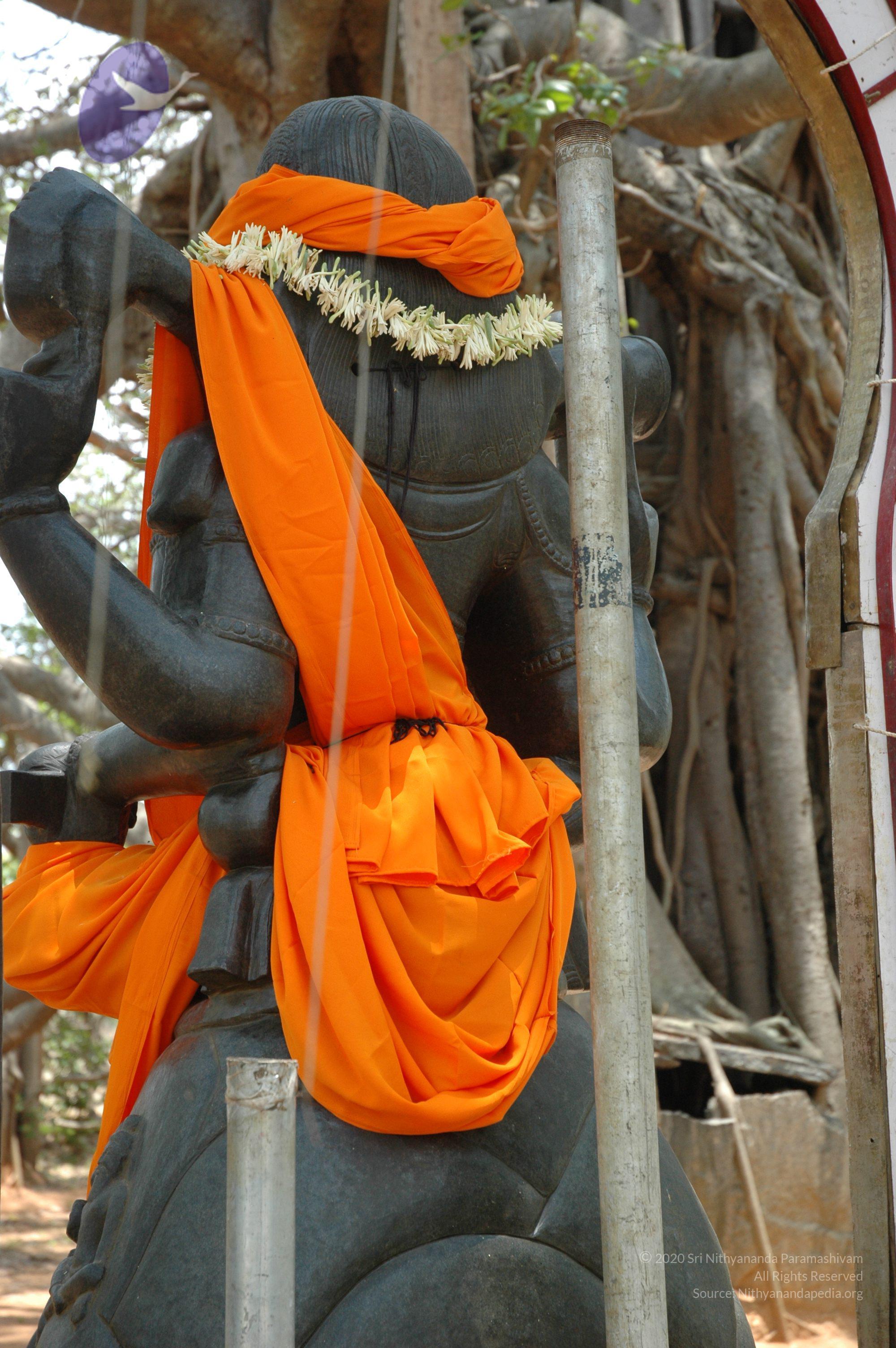 20070504_Photo_1053_DSC_4959_CMP_WM