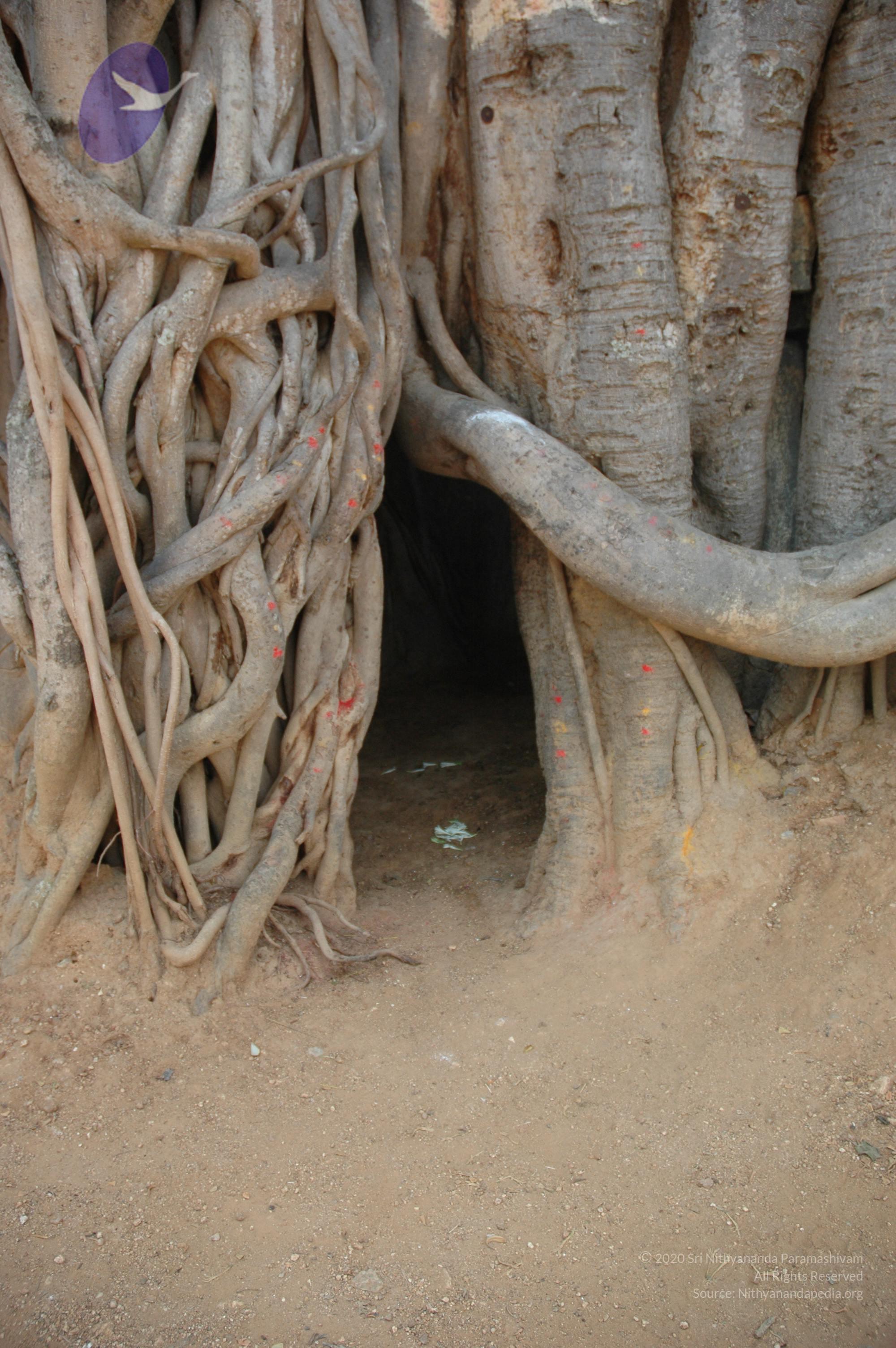 20070504_Photo_1067_DSC_4999_CMP_WM